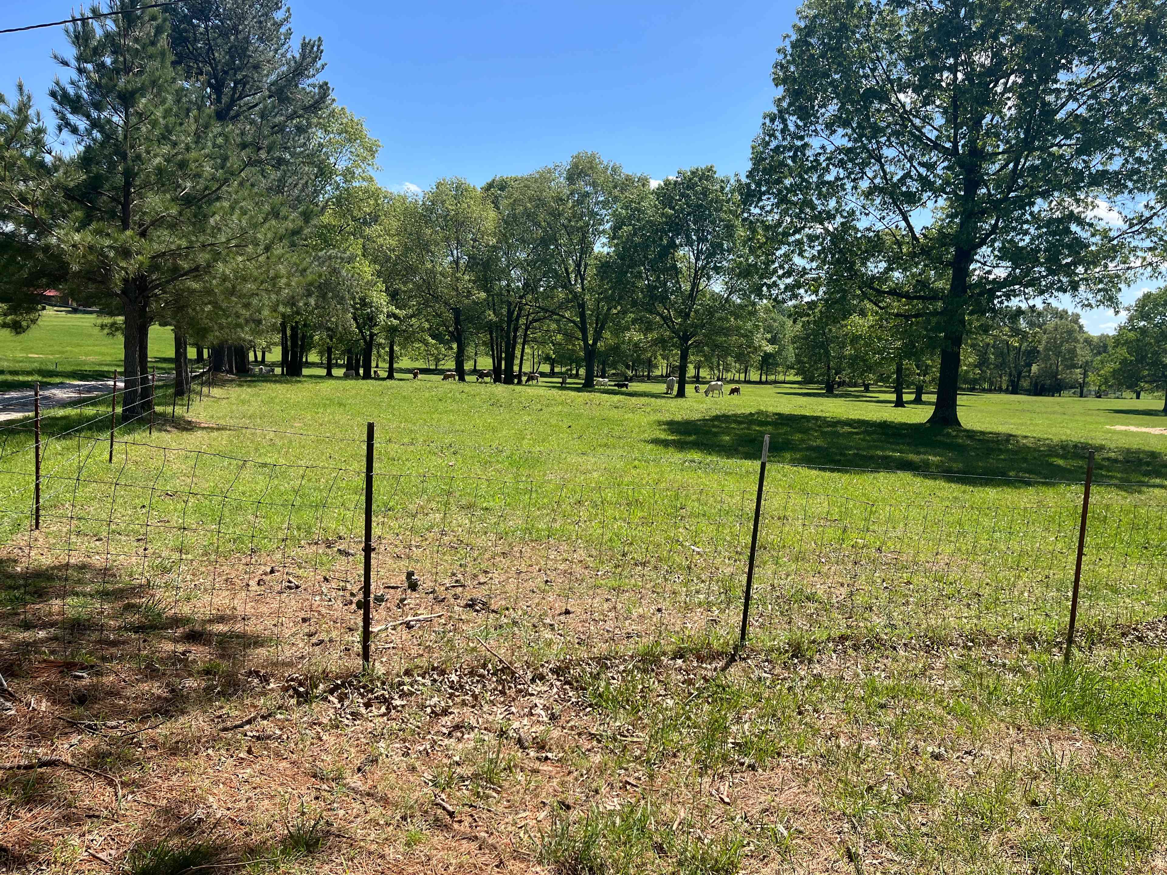 Pioneer Lane Farm