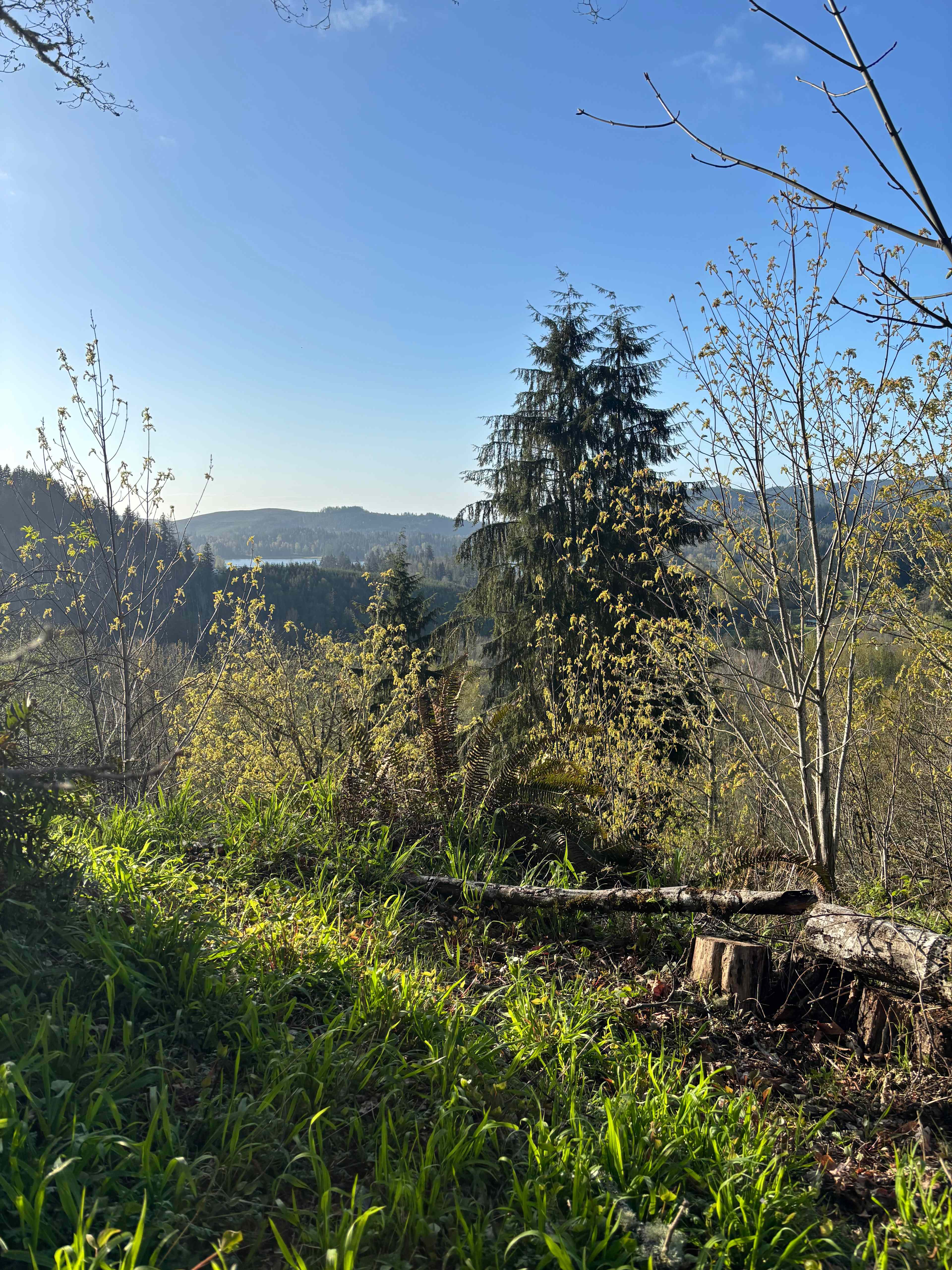 Alder Grove Retreat