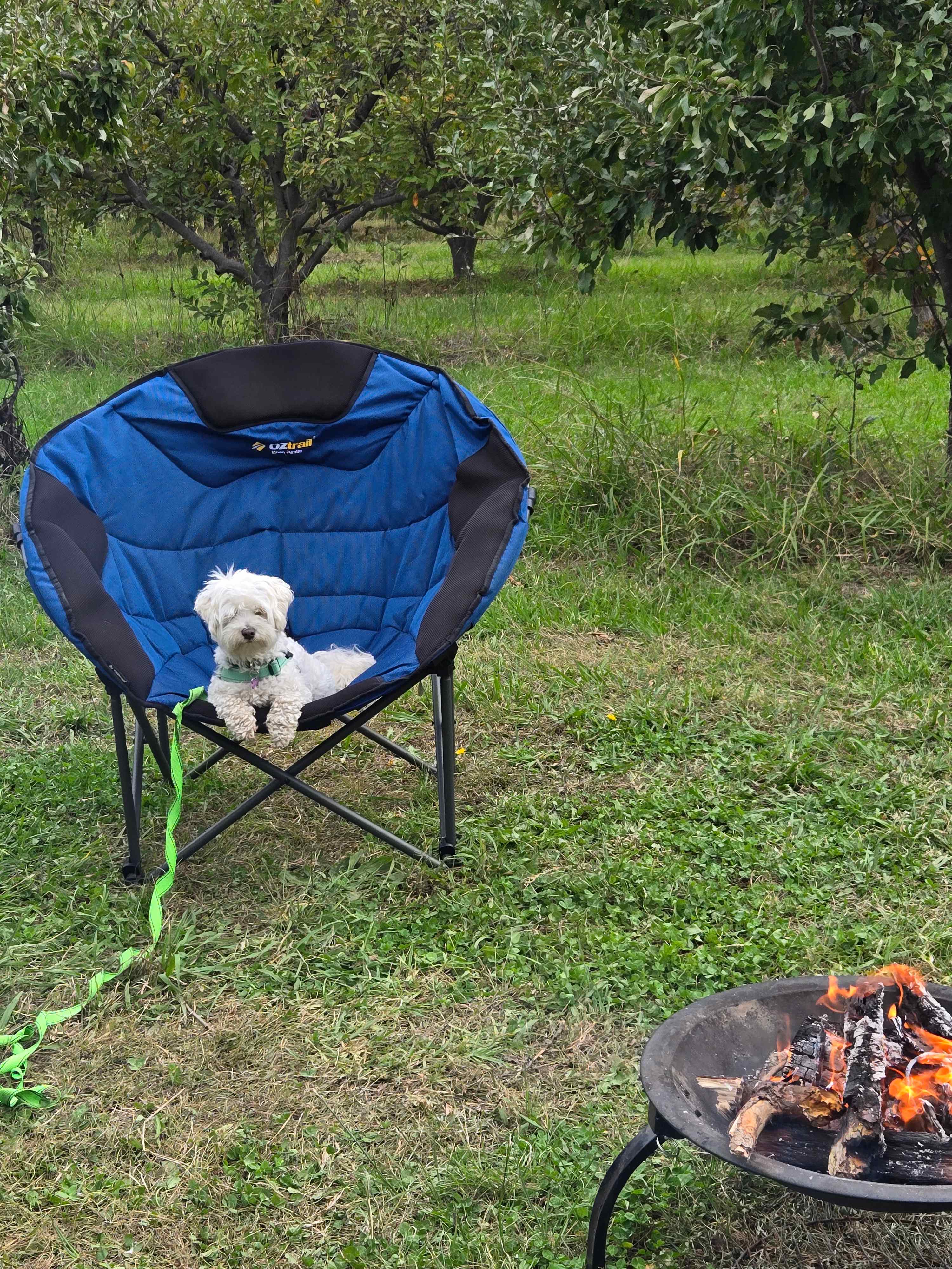 Roma Orchard - Hunter Valley