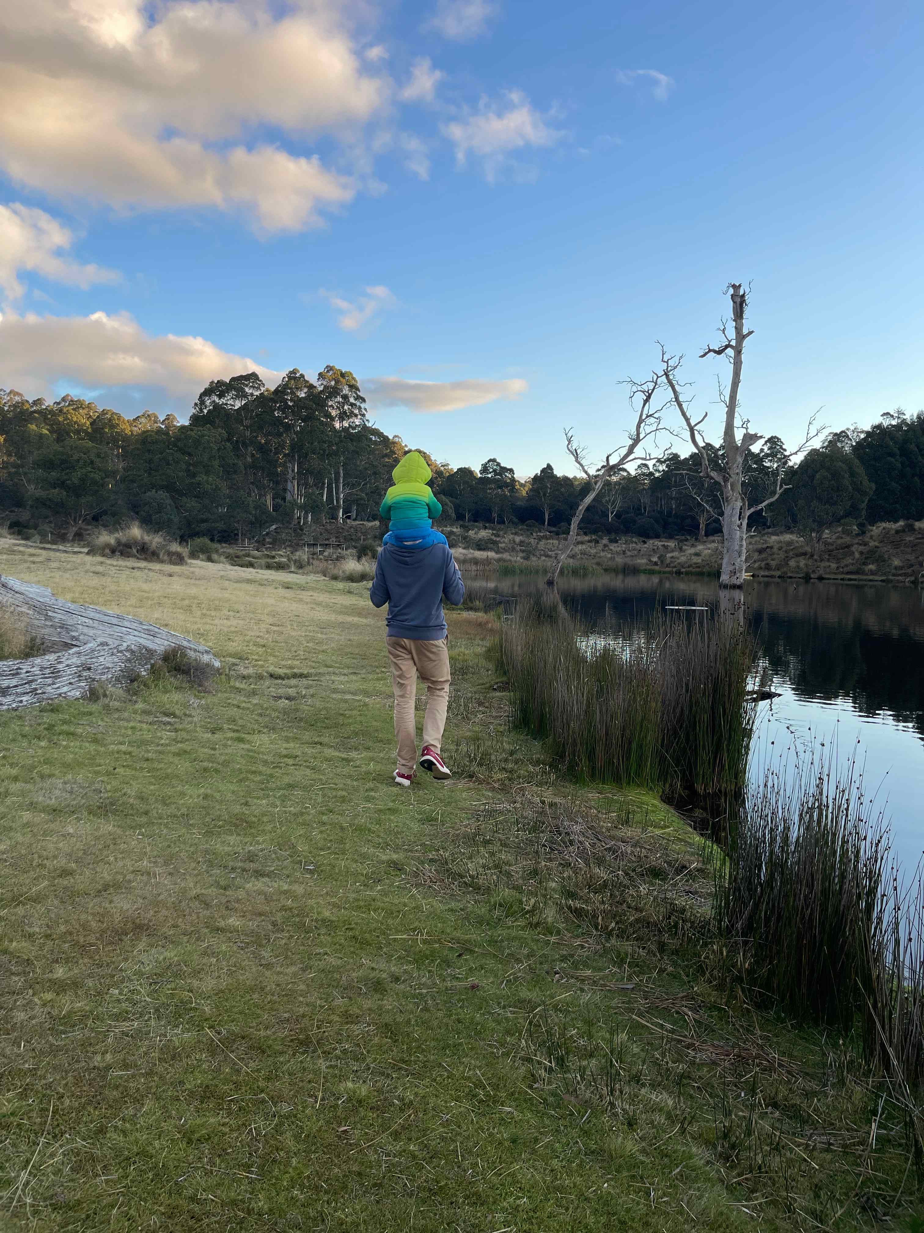 Cradle Mountain Fishery and Camping