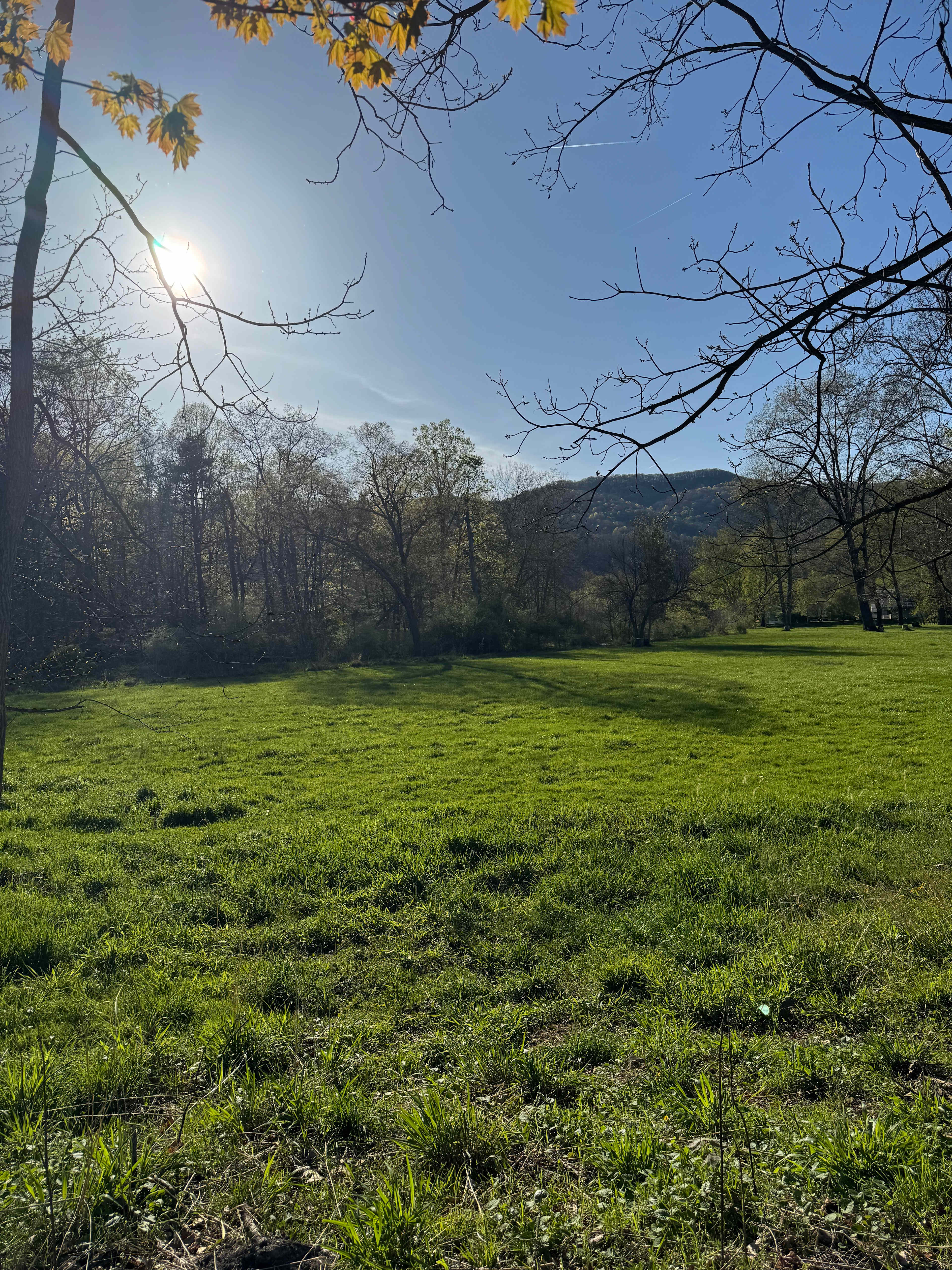 Knapps Creek Campsites