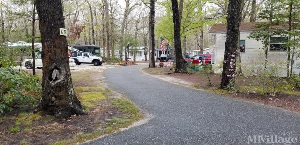 Avalon Campground