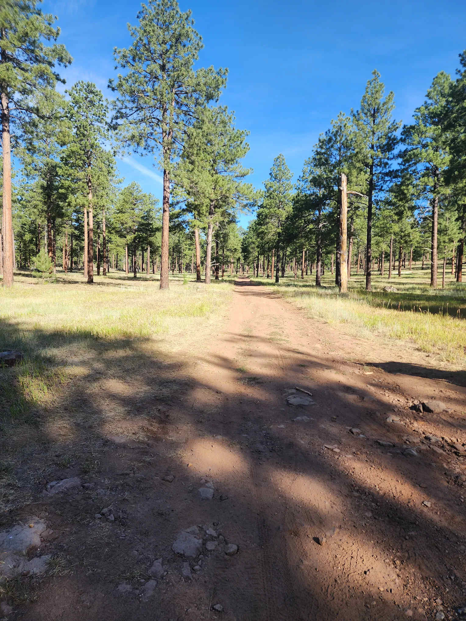 Fort Tuthill County Campground