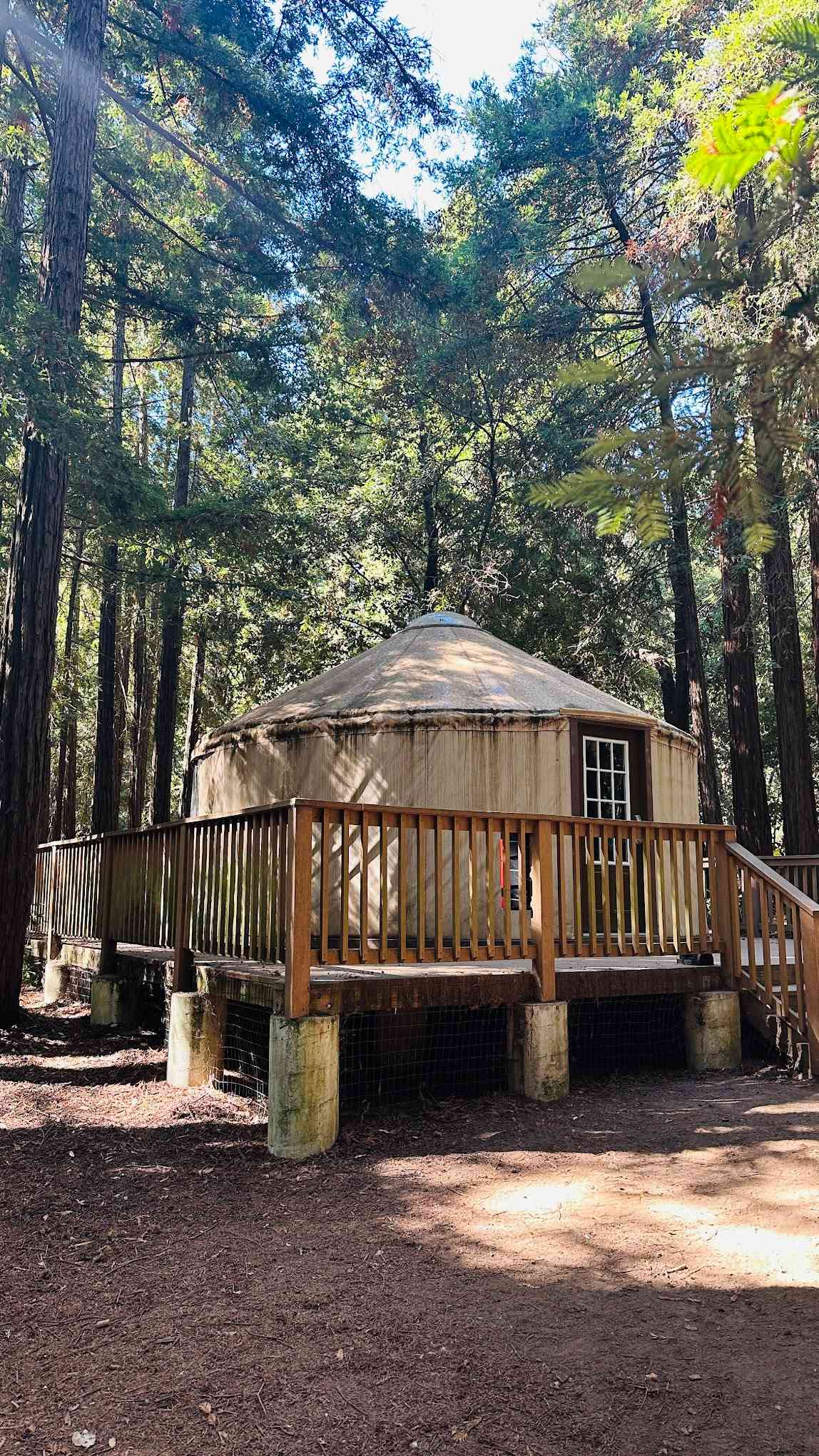 Mt Madonna County Park