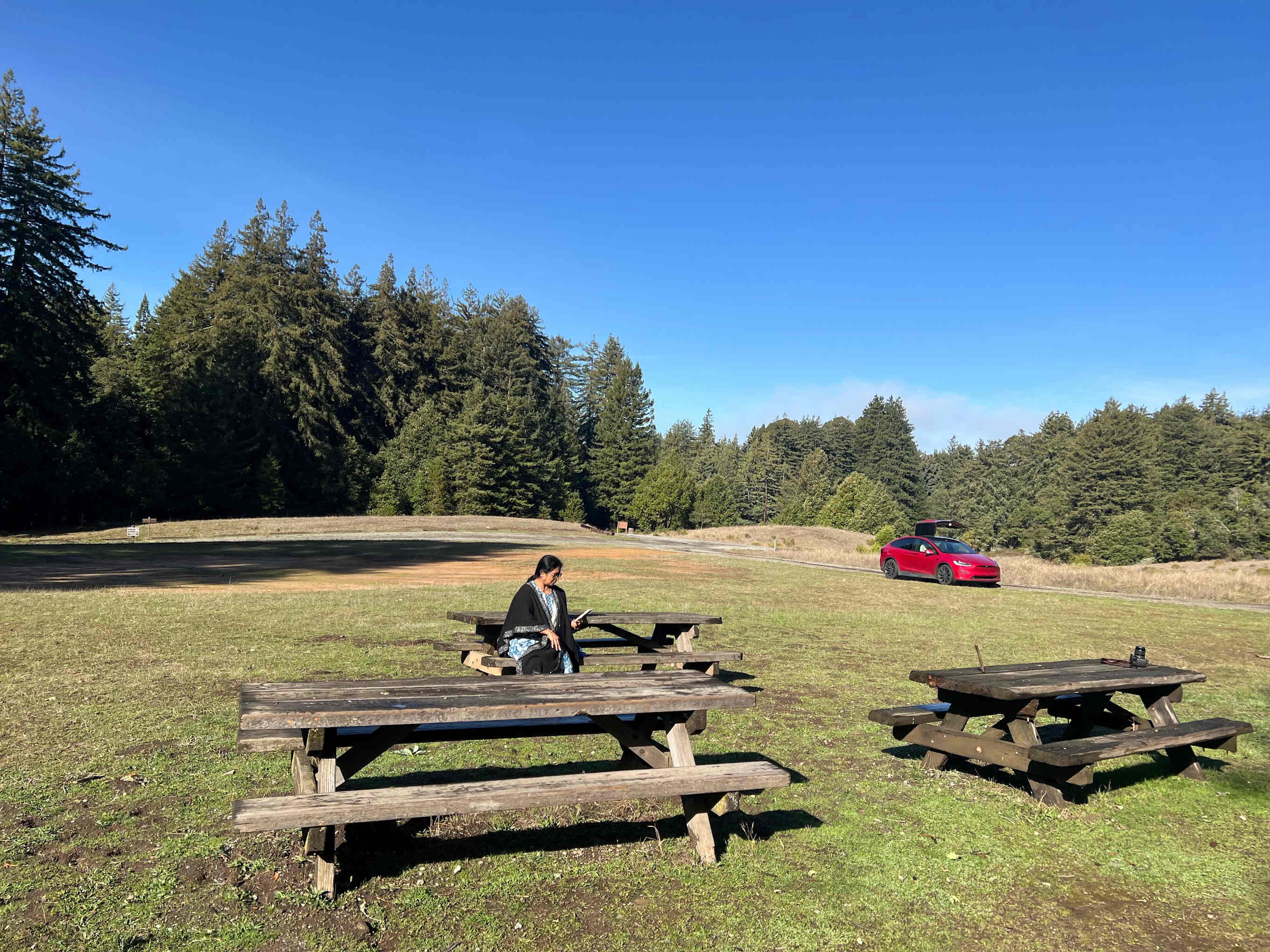 Mt Madonna County Park