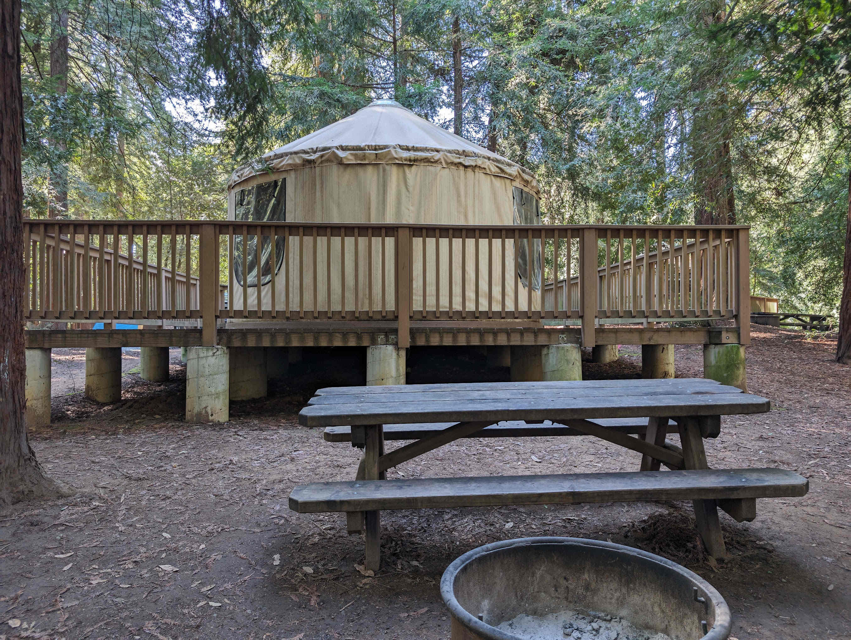 Mt Madonna County Park