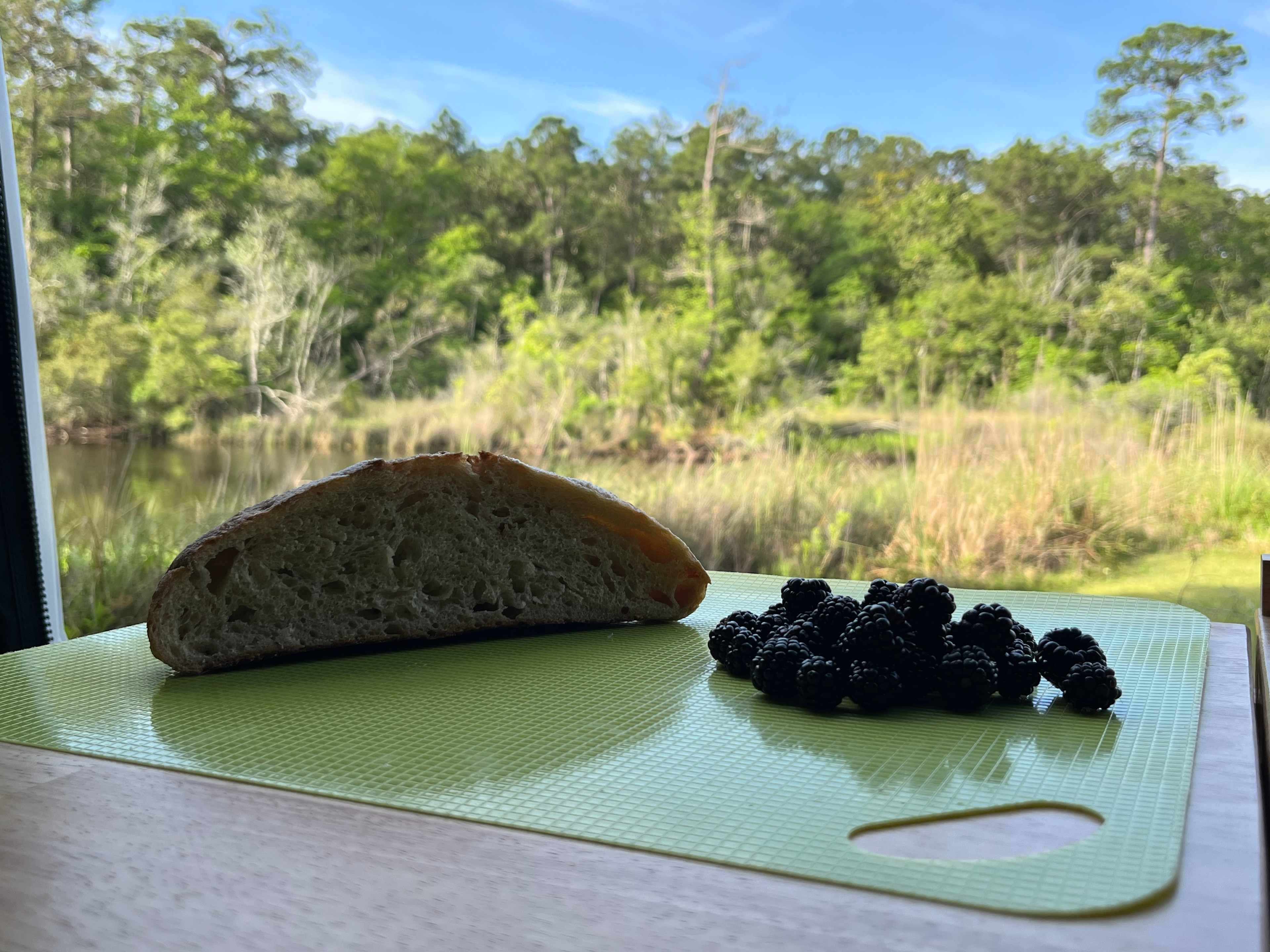 Bread, dewberries, and a wonderful view!