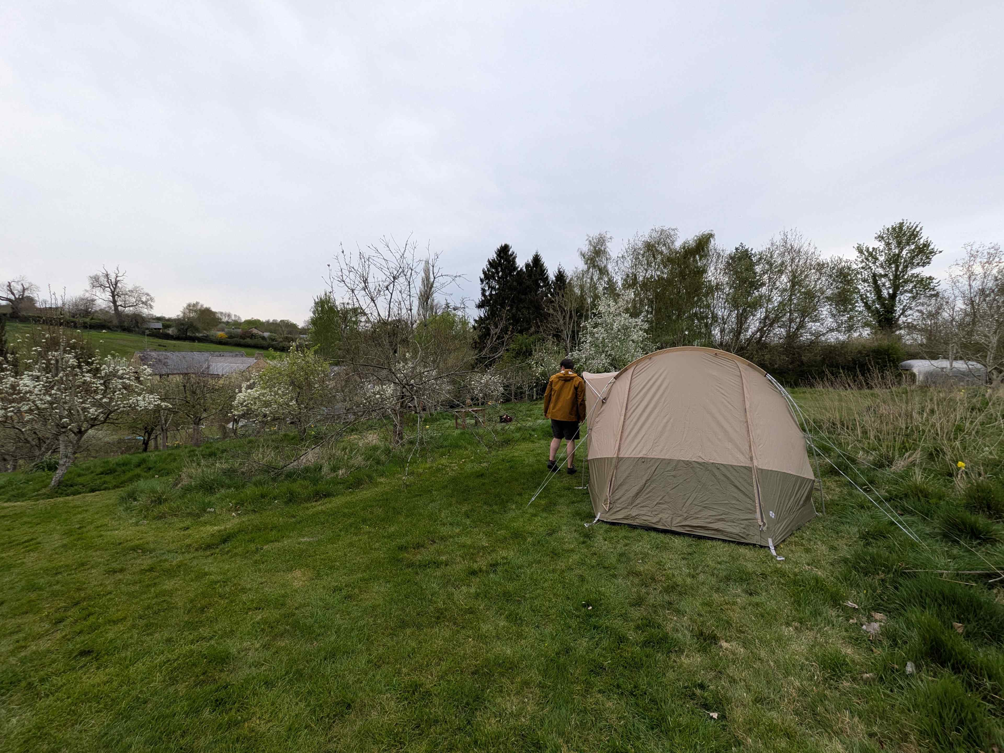 Orchard pitch, facilities in the woods behind