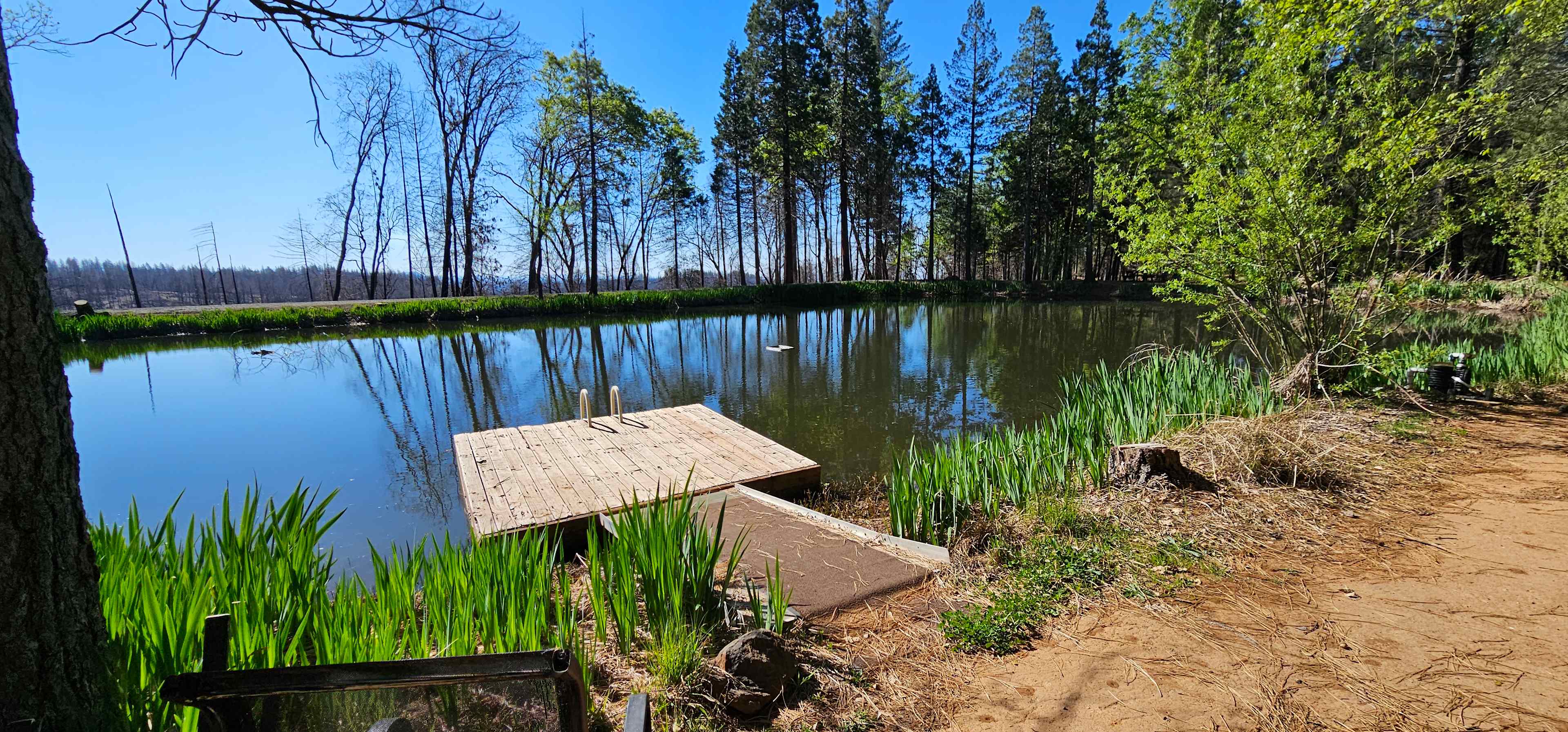 Maple Creek Ranch