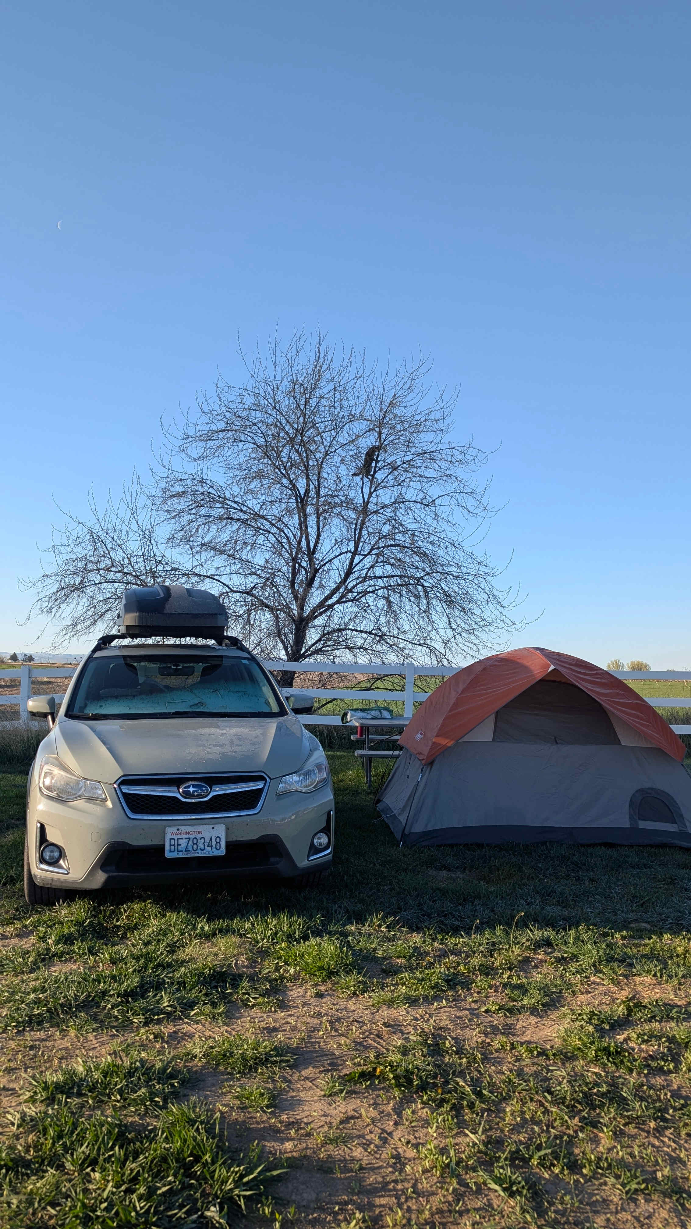 Country Camping close to town