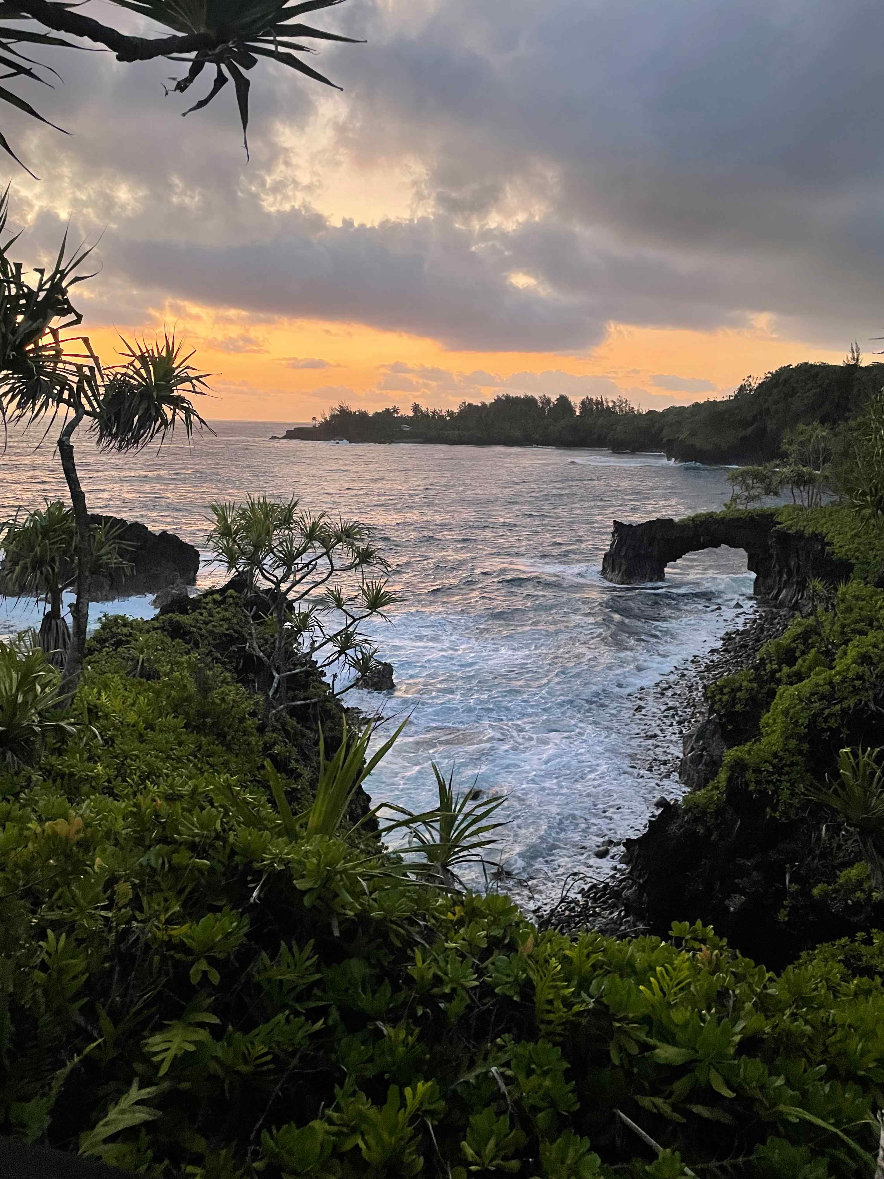 Untouched Hawaiian Land