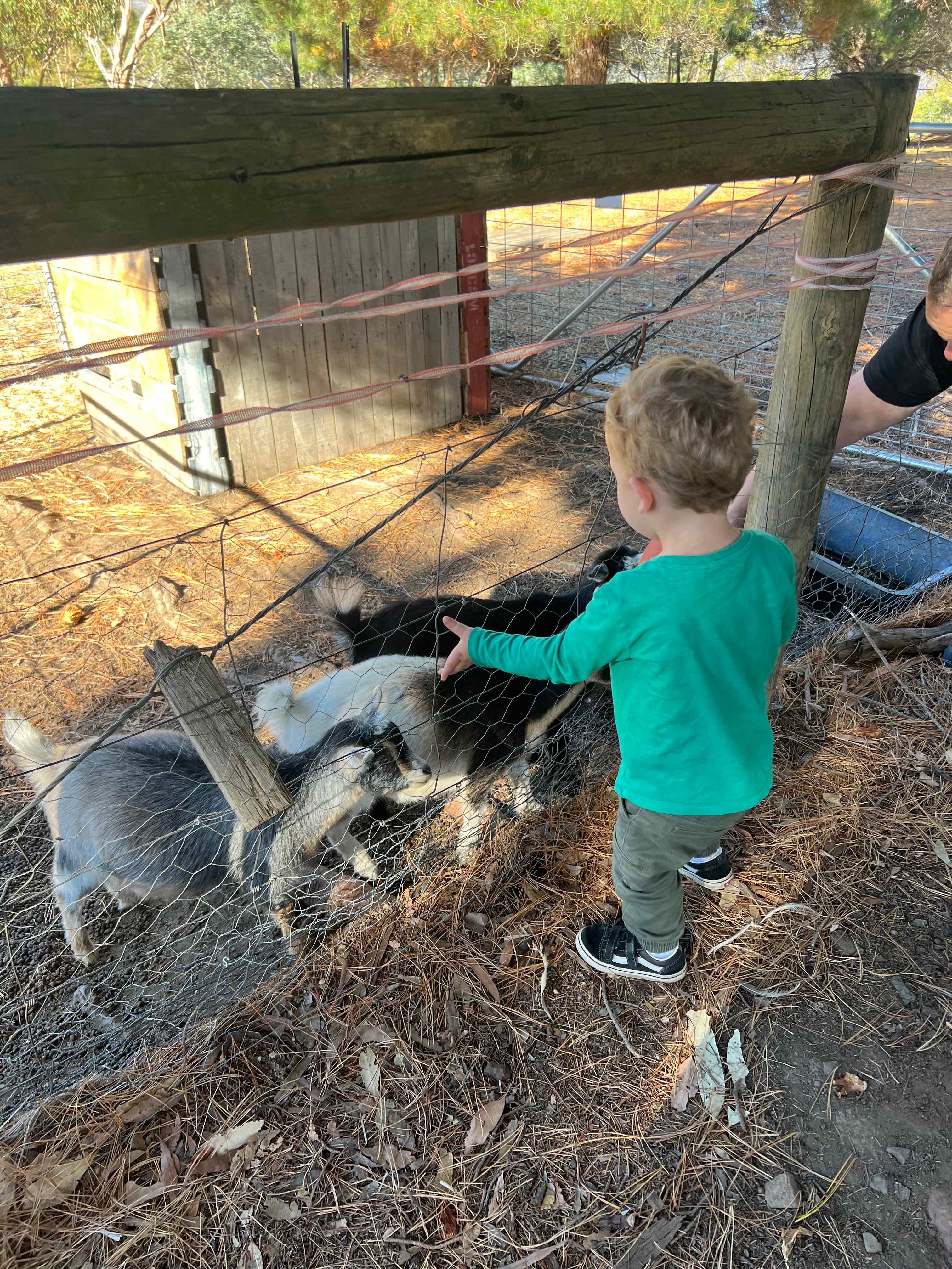Heimat Farmstay