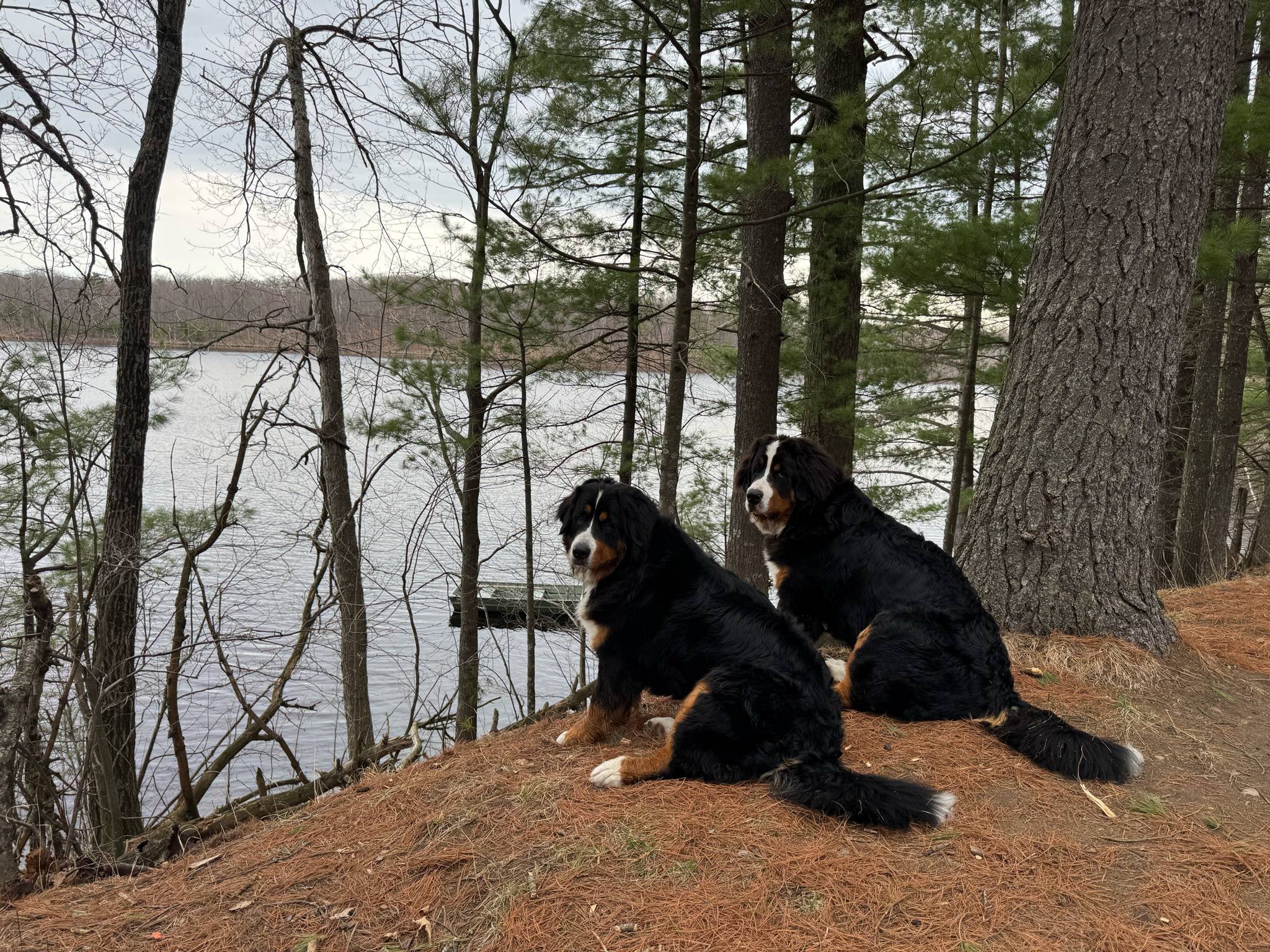 Trapper Arts Camping Retreat