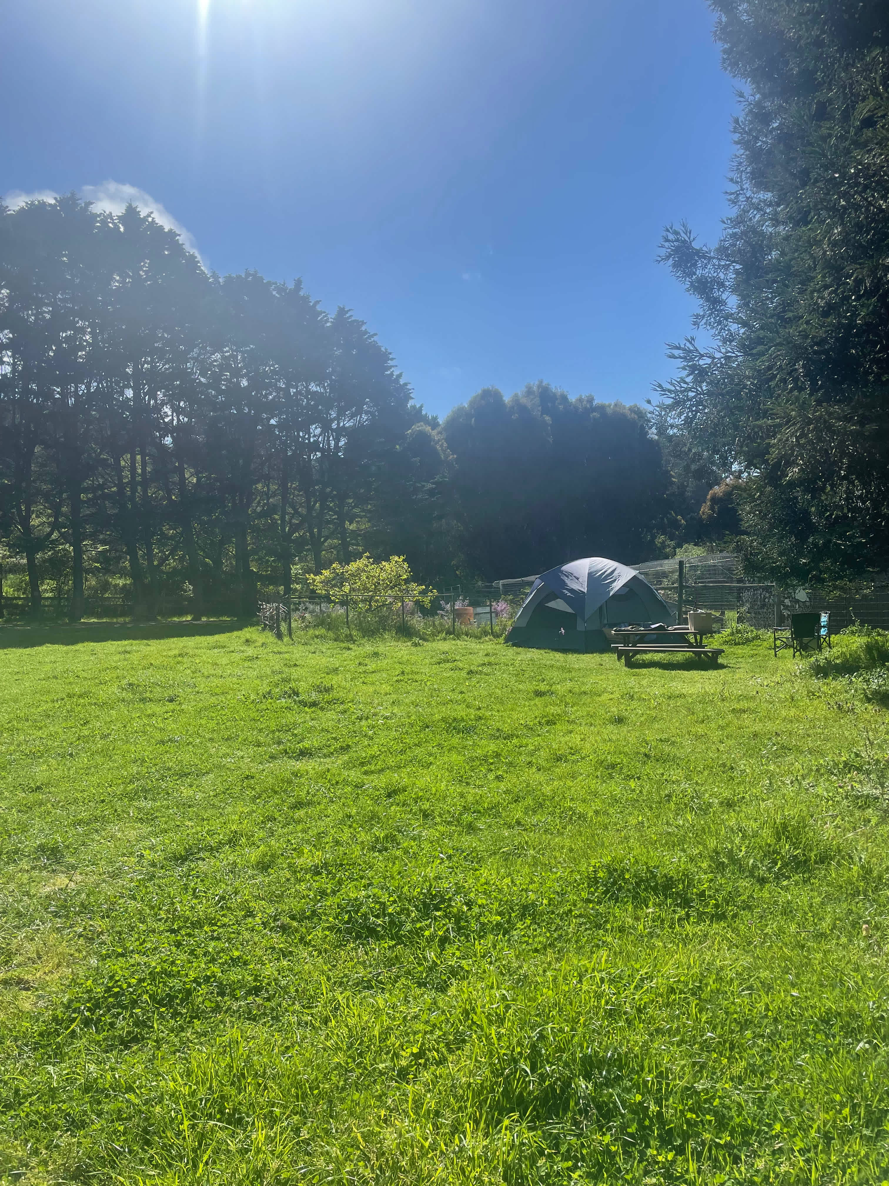 Blackberry Farm