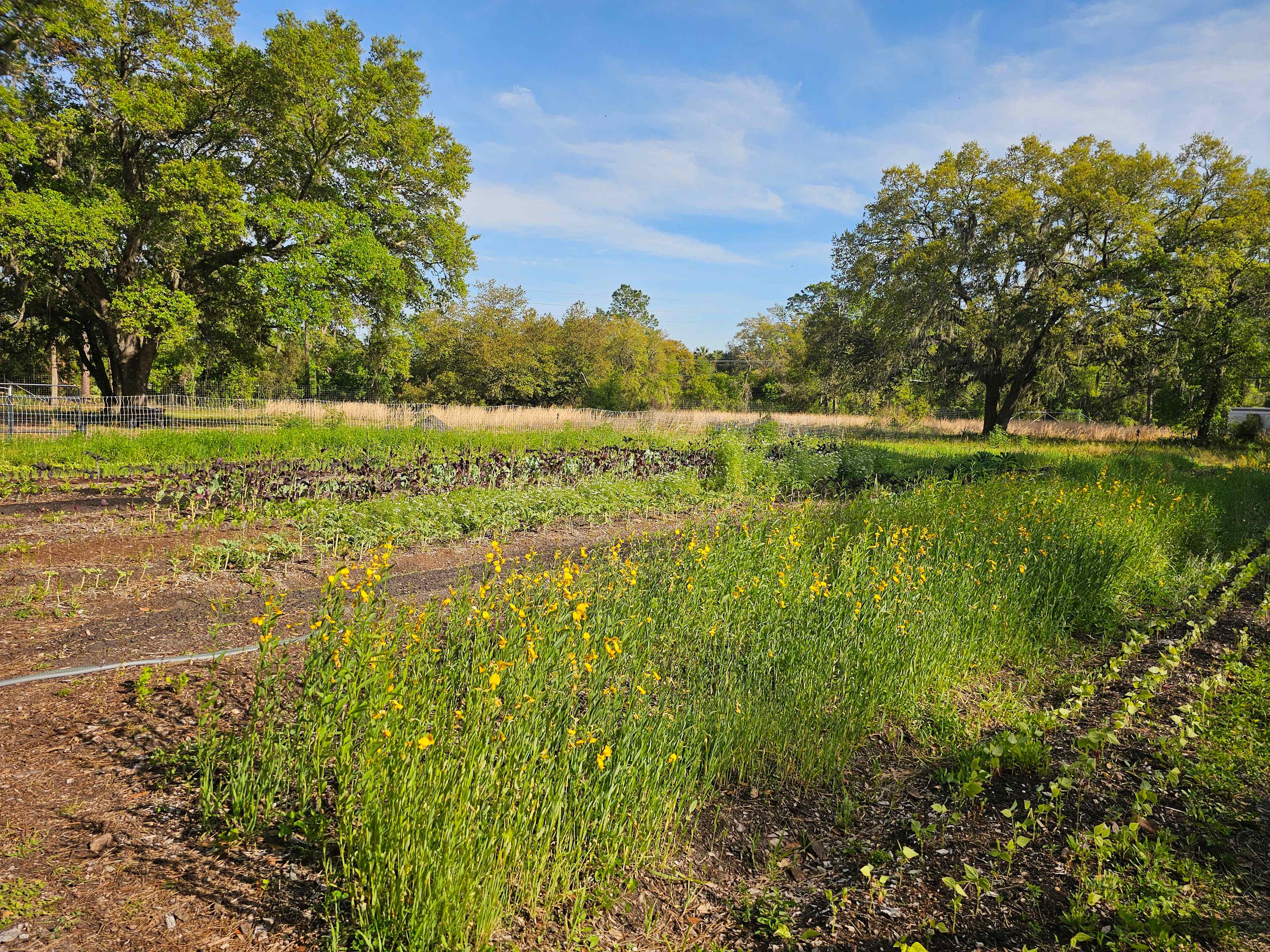 Oceanside Organics Farm