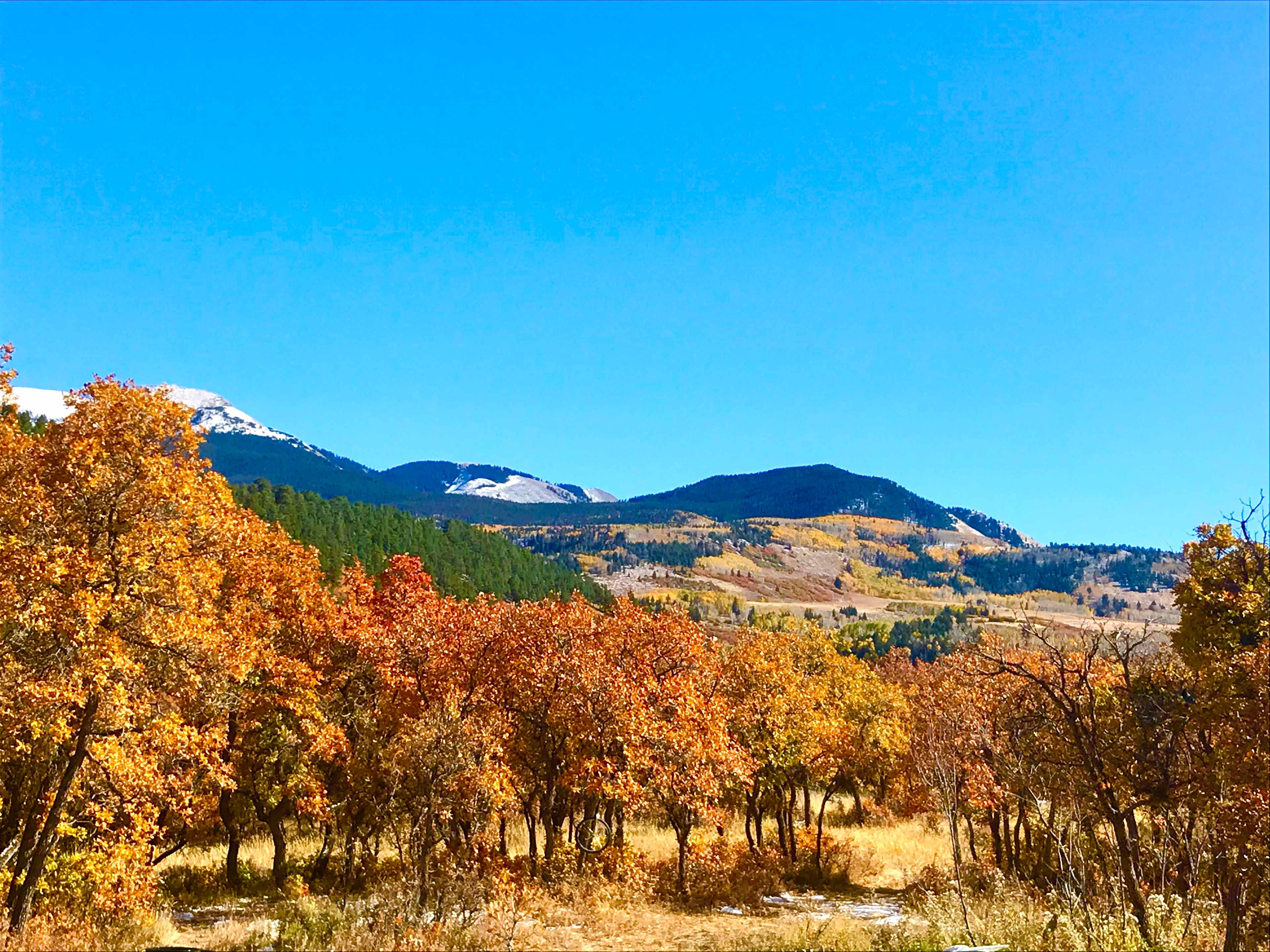 Hartwork Ranch