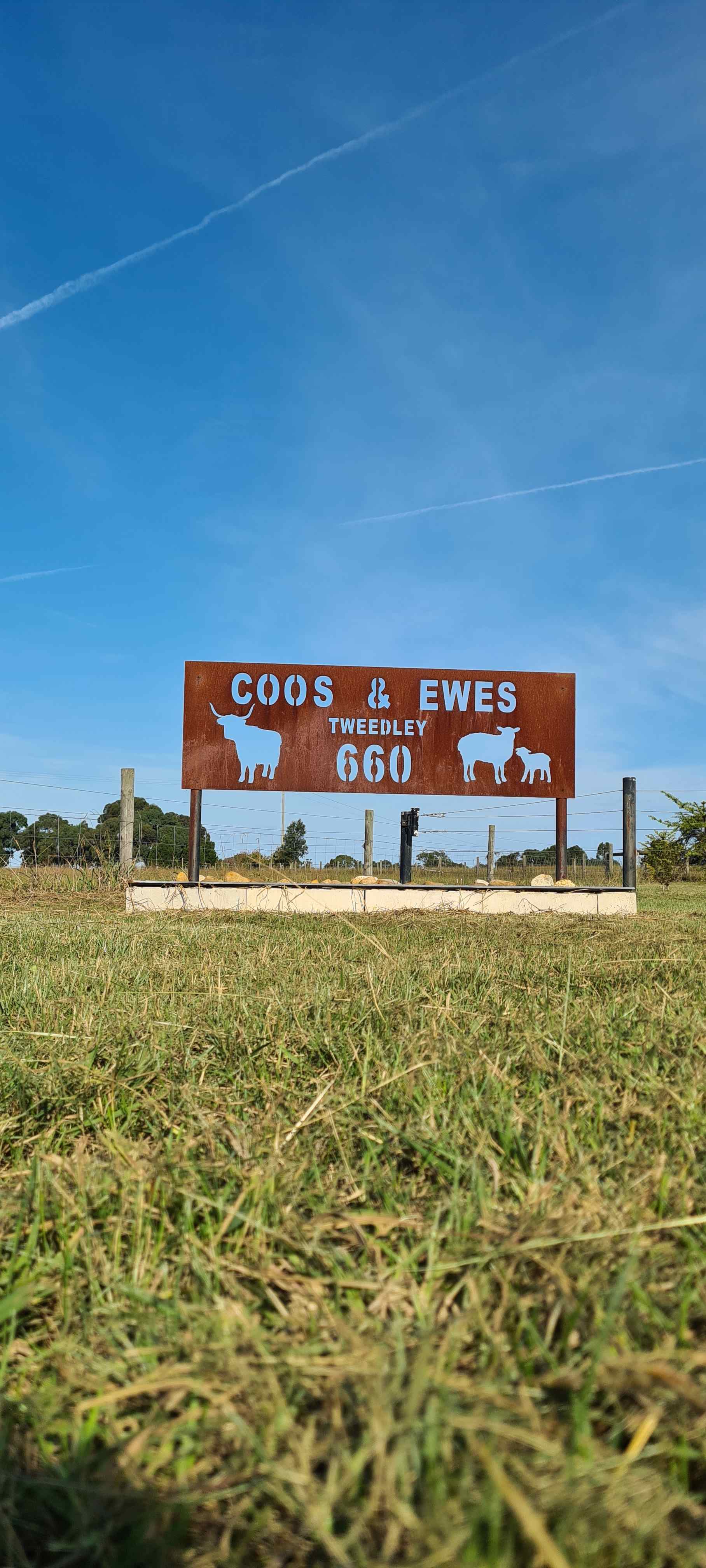Coos & Ewes