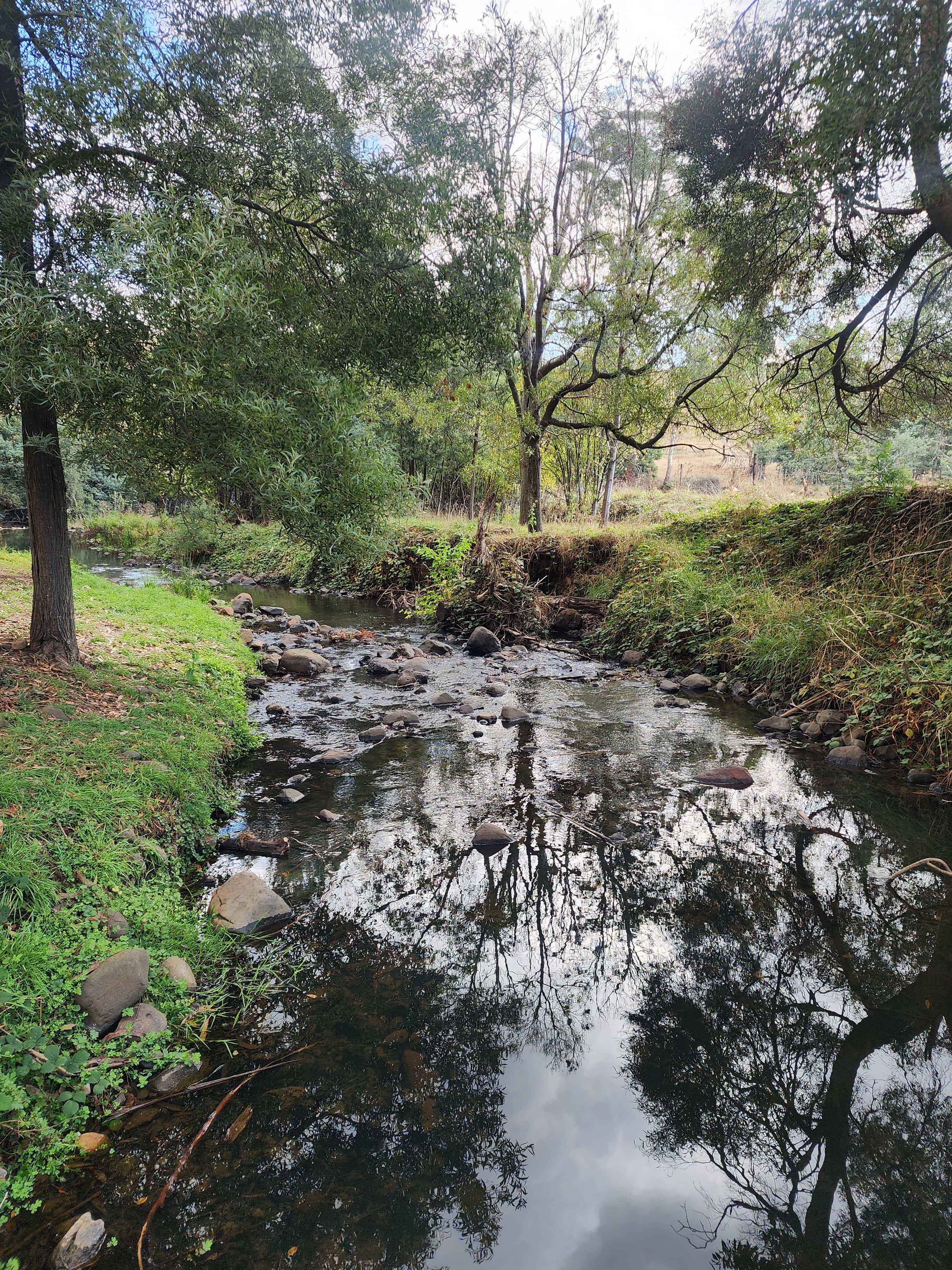 Blythe River Campground