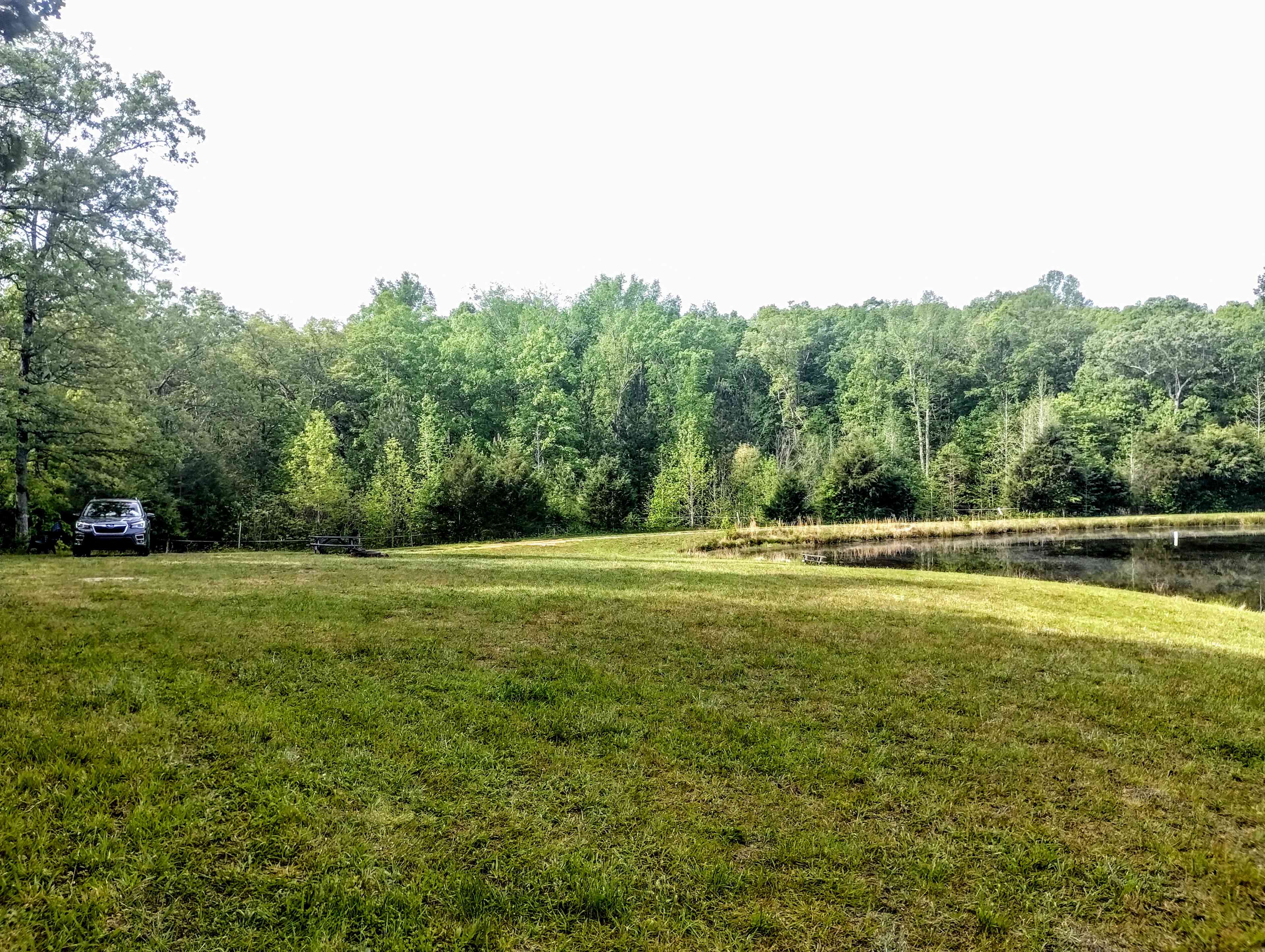 Private meadow and pond