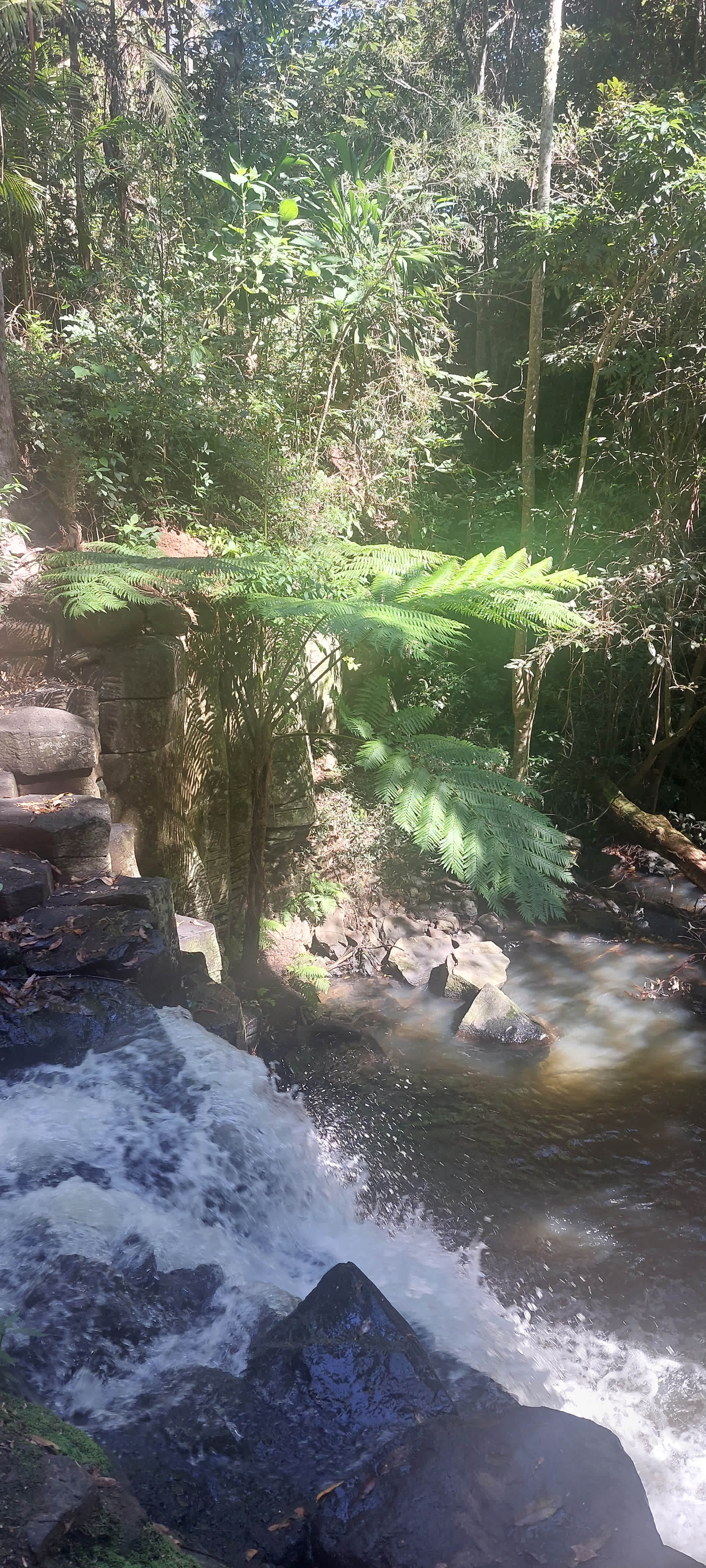 Maya Nature Park