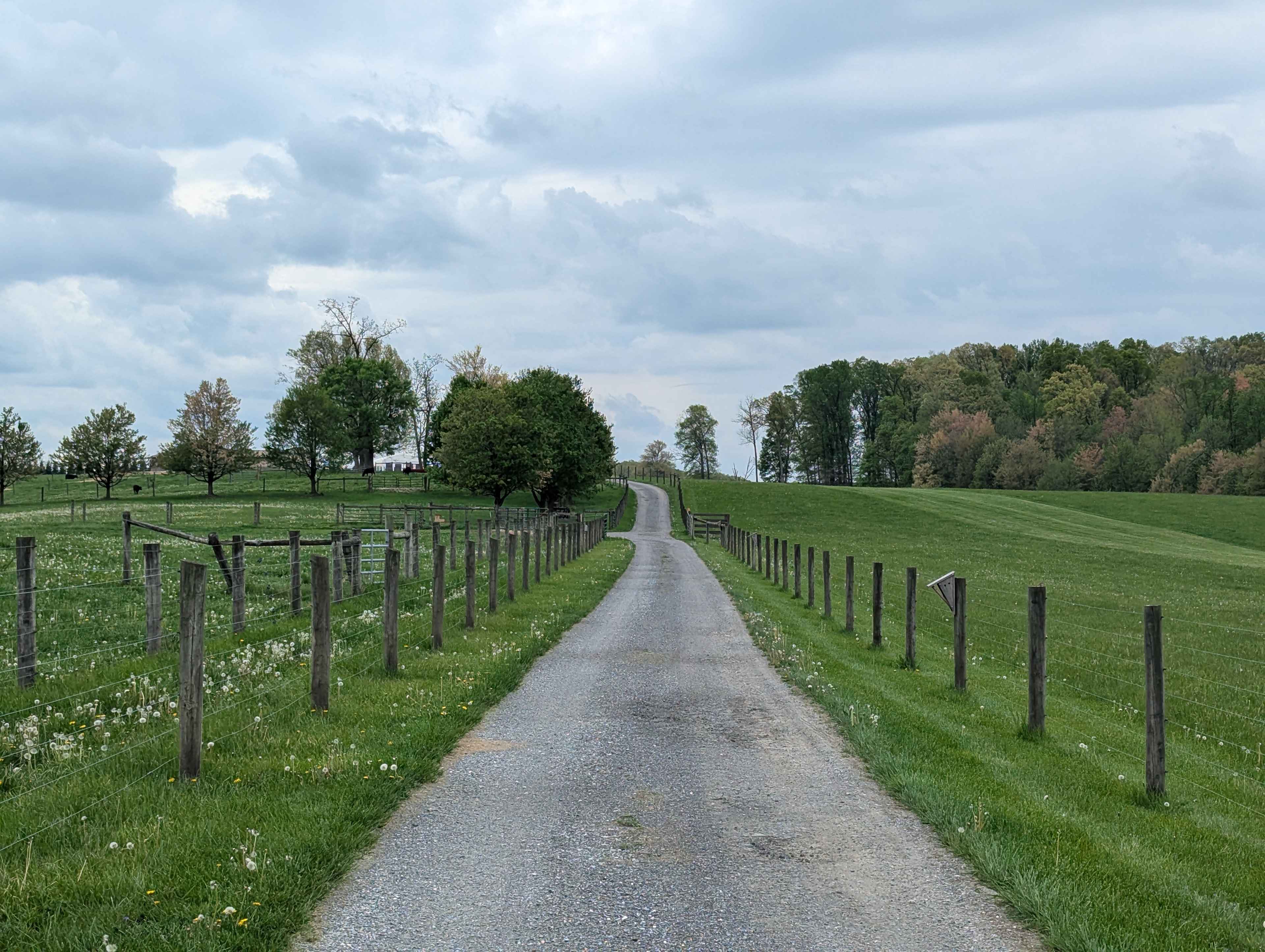 Willows Farm