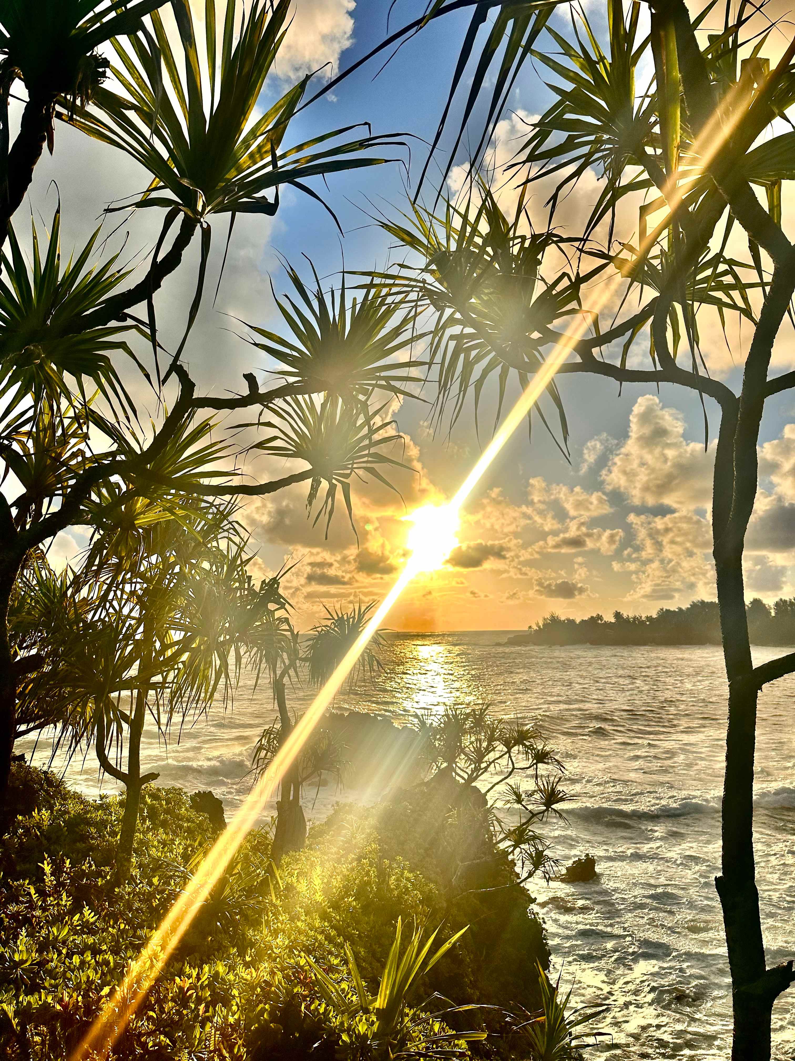 Untouched Hawaiian Land