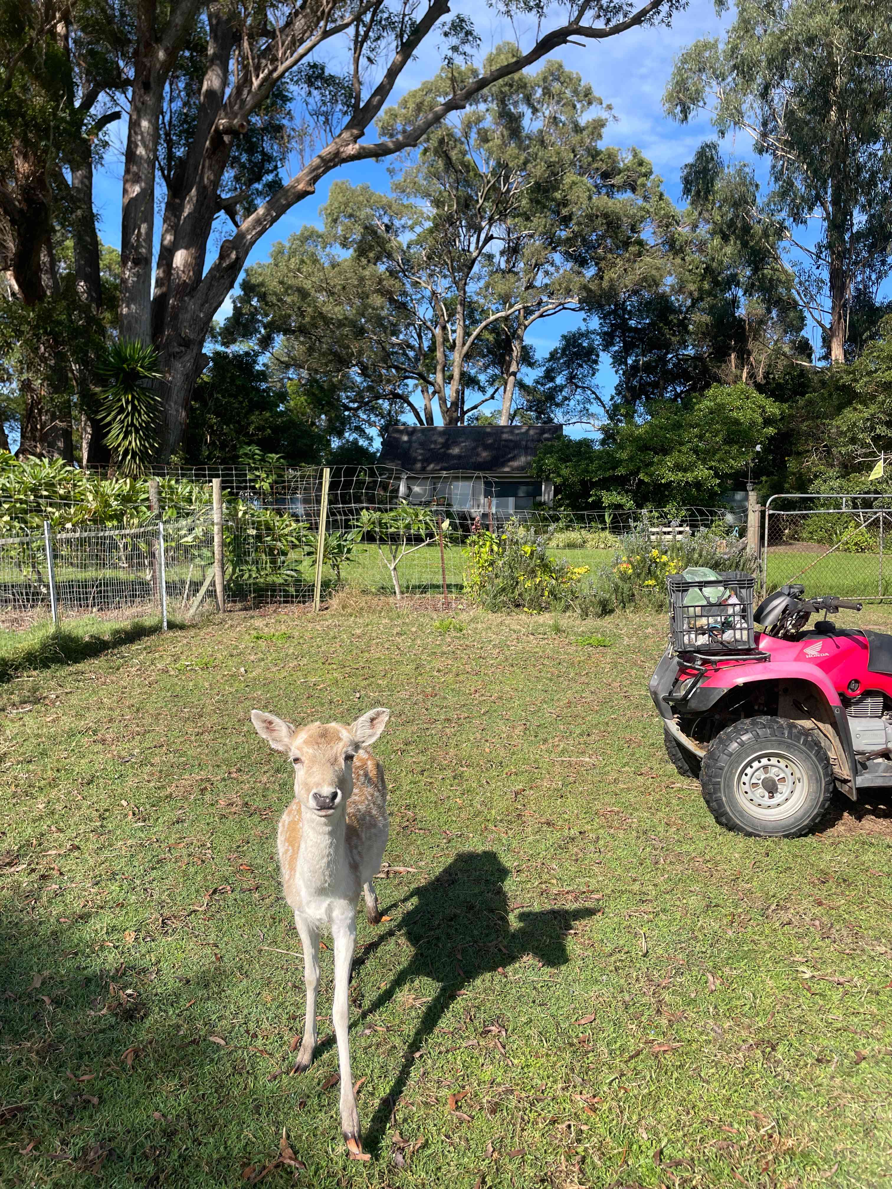 Diamond Park Campsite