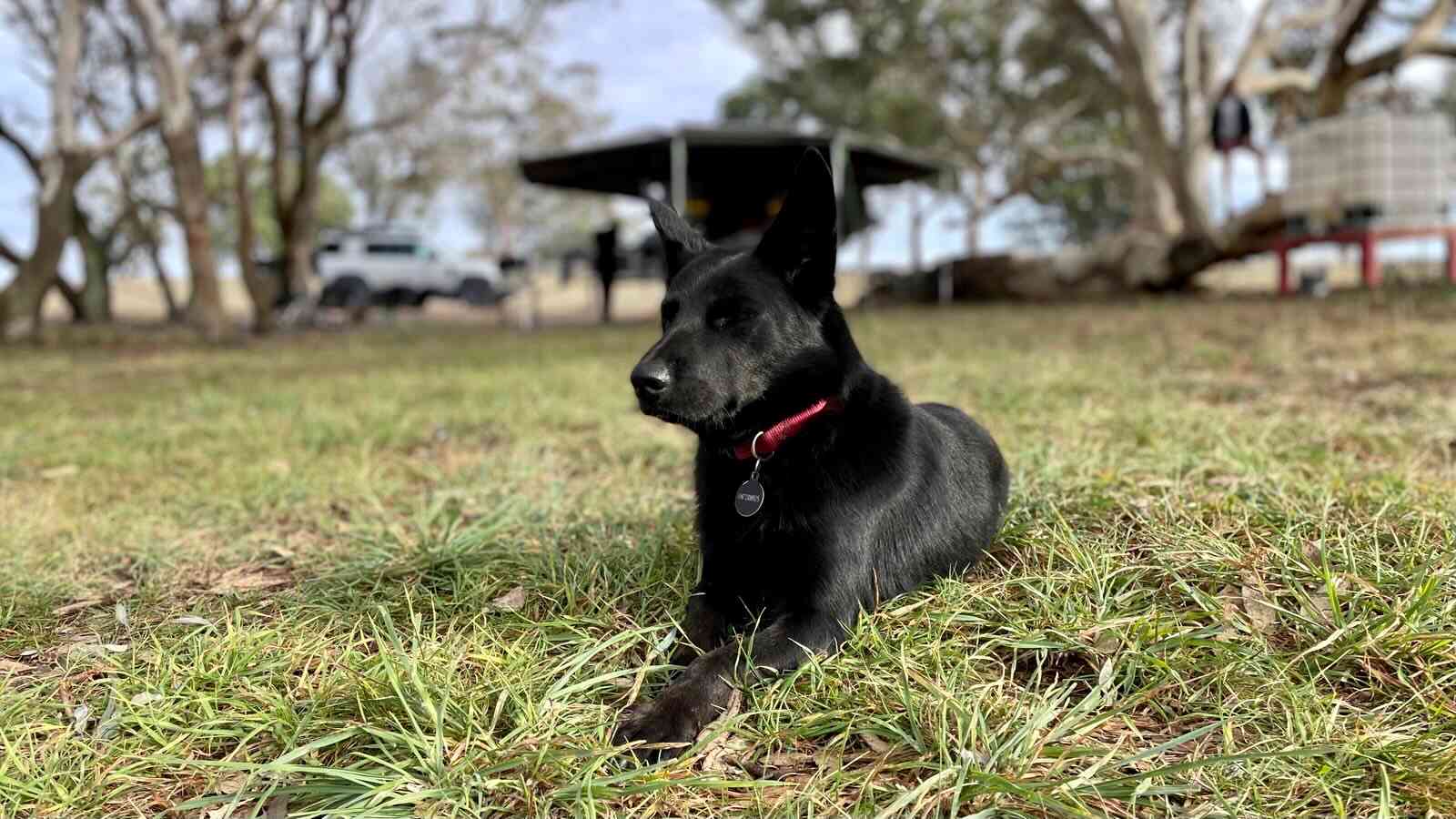 Coots Creek Campground