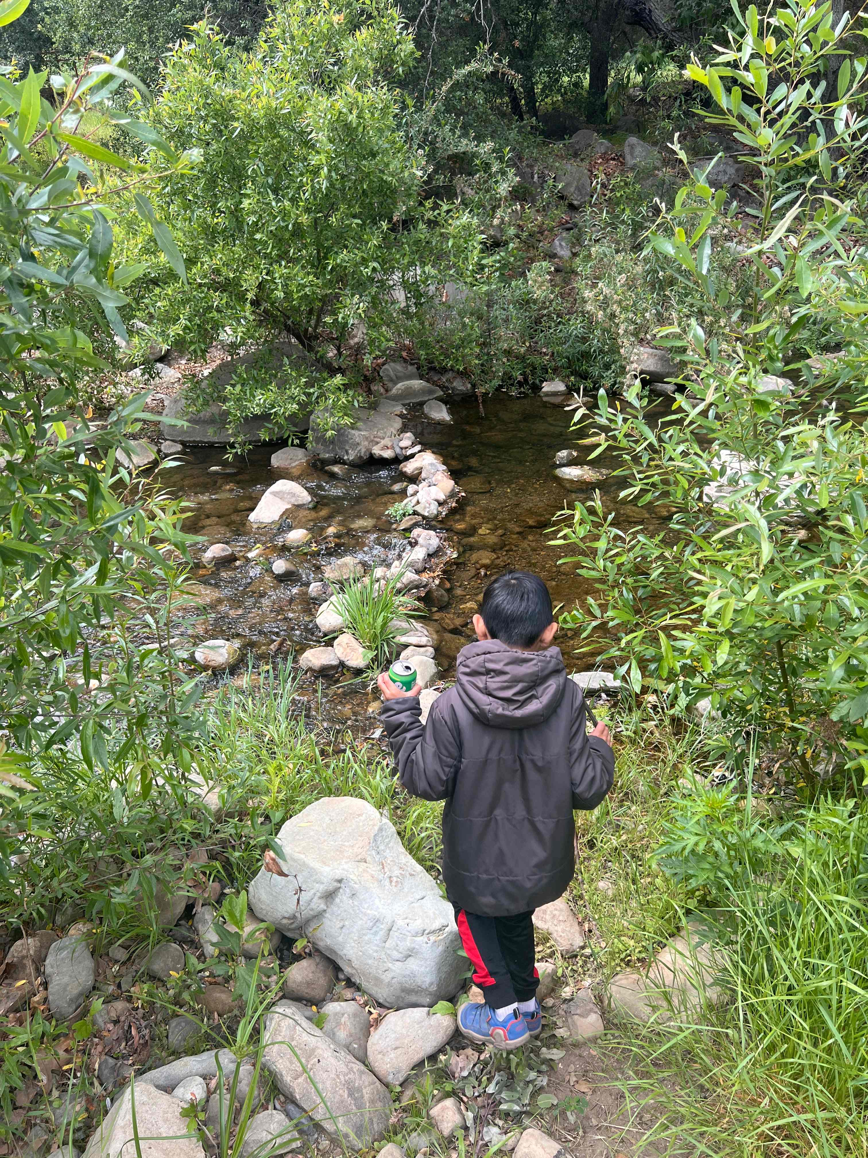 Camp RainDale