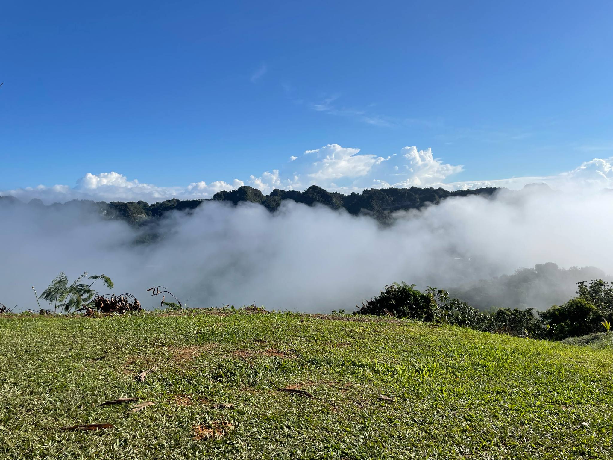 Hacienda La Tradición