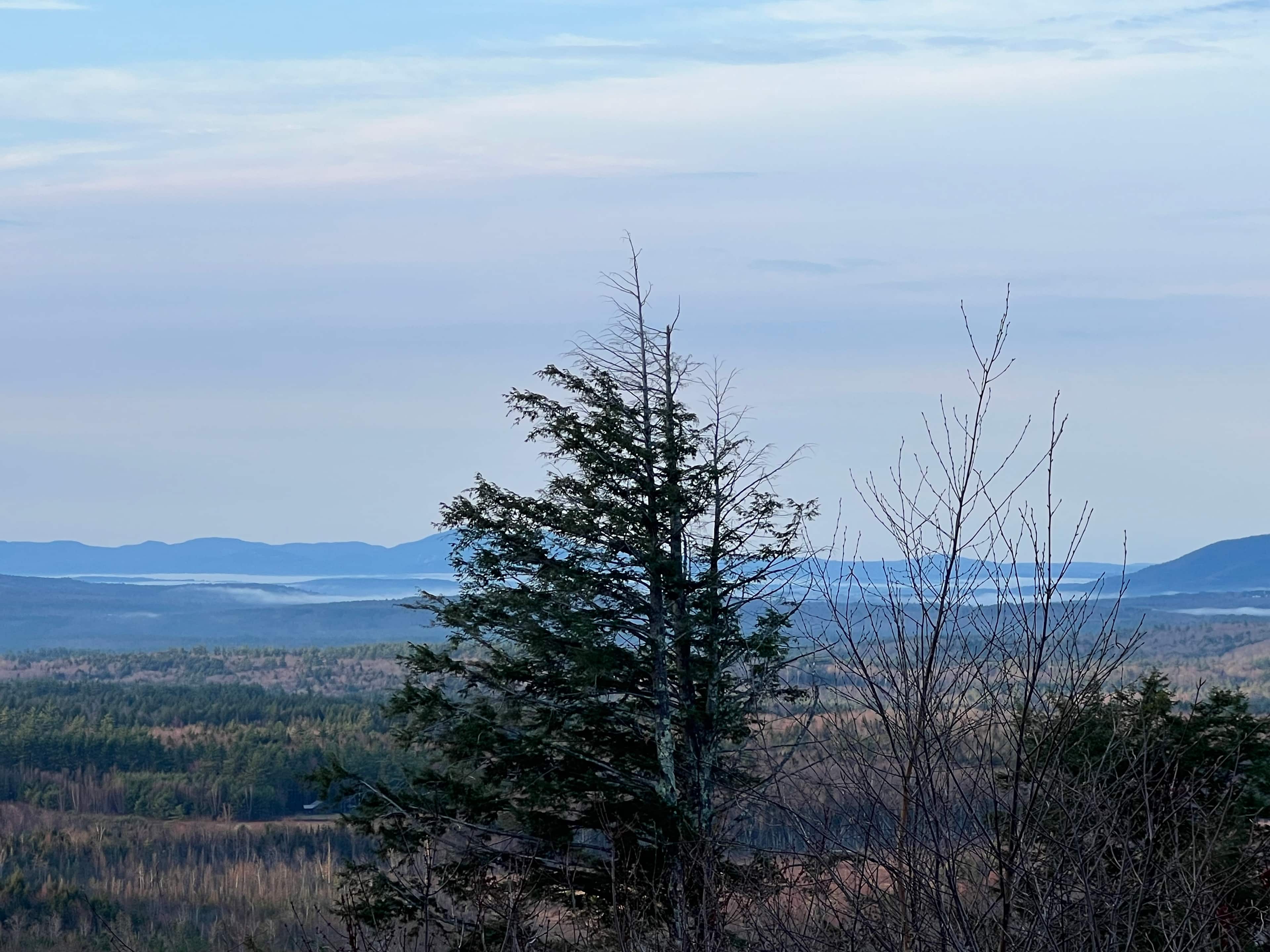 View from site 5