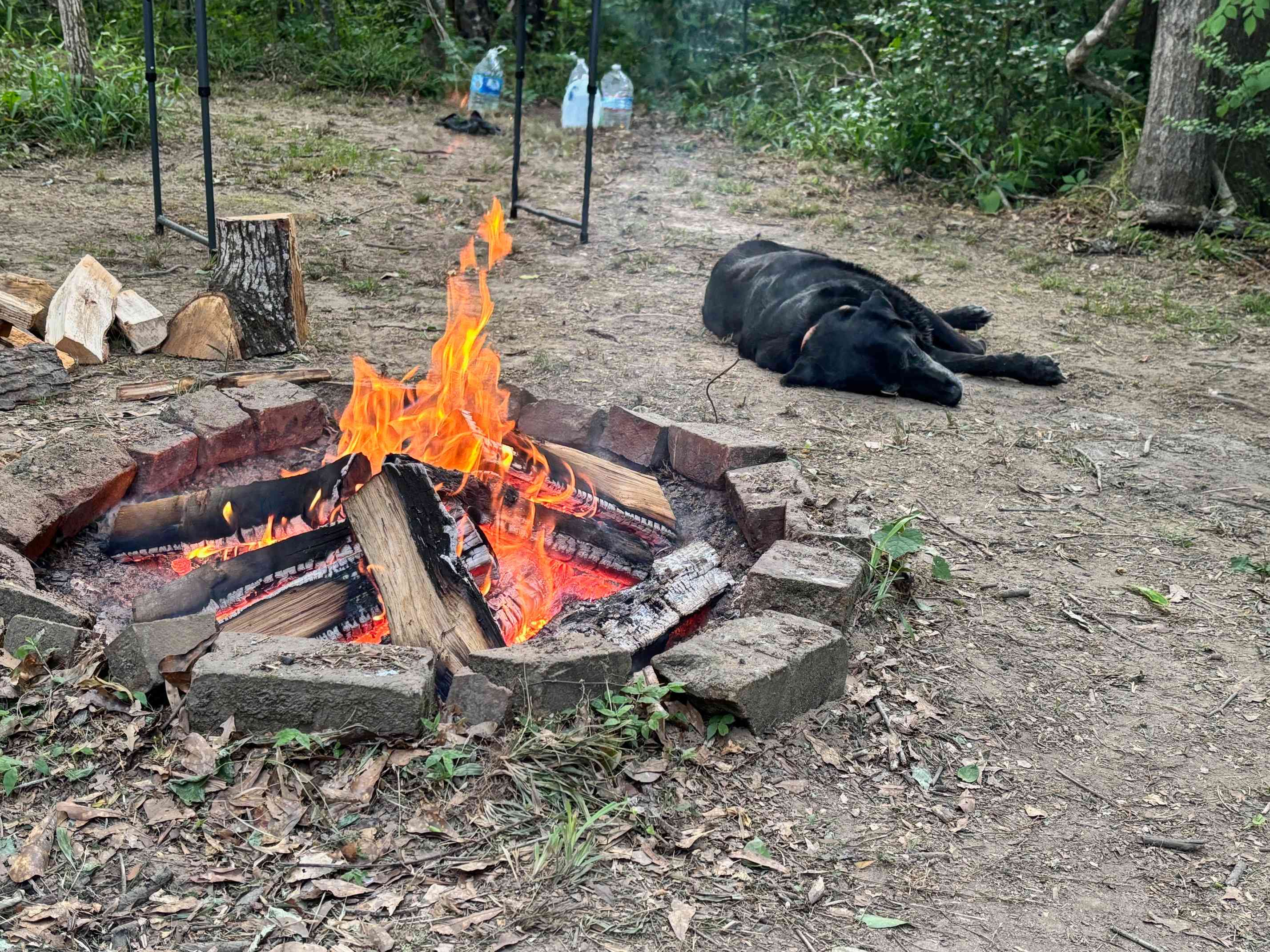 Site 2 with Luna