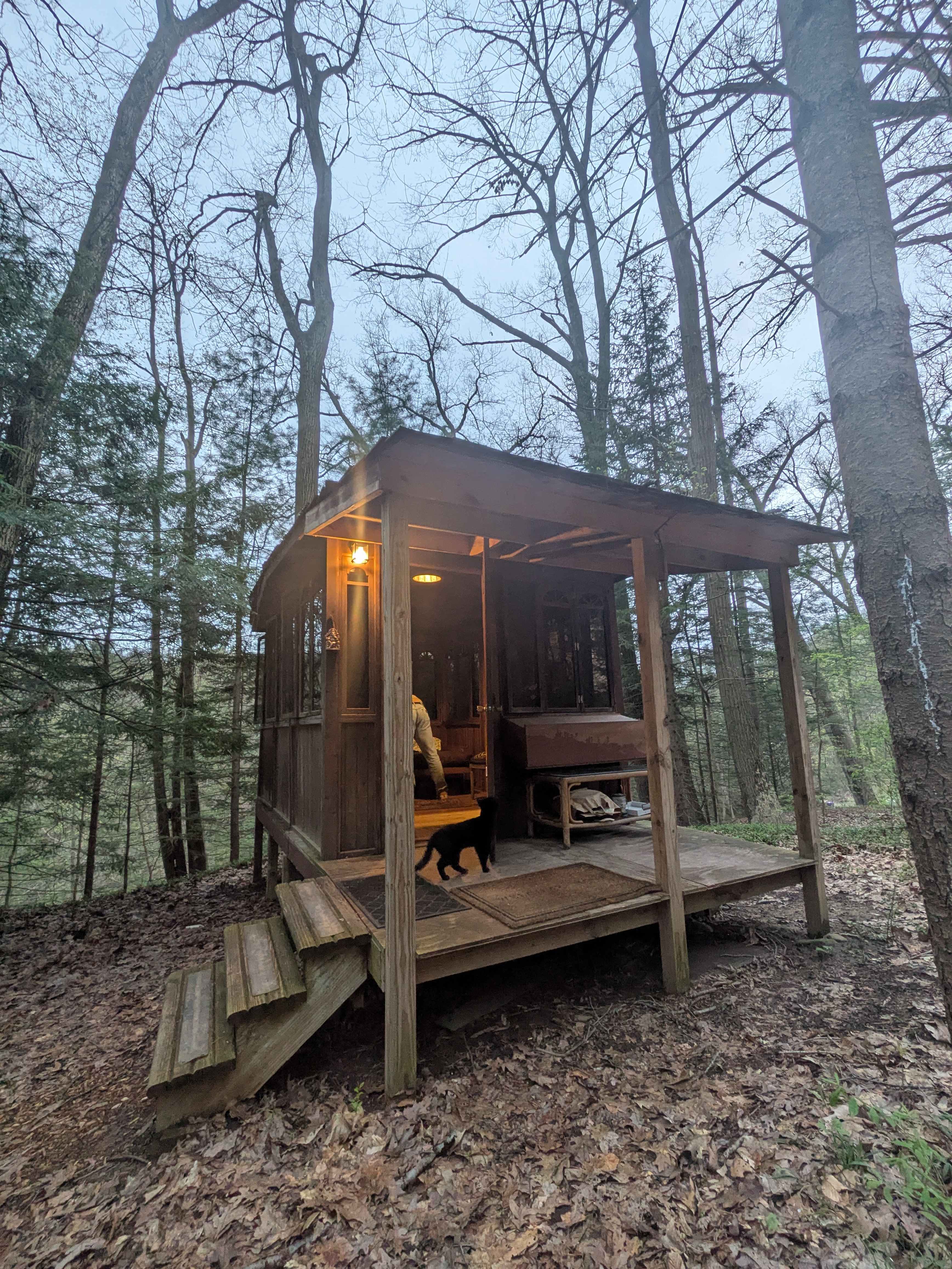 Hemlock & Hobbit Forest