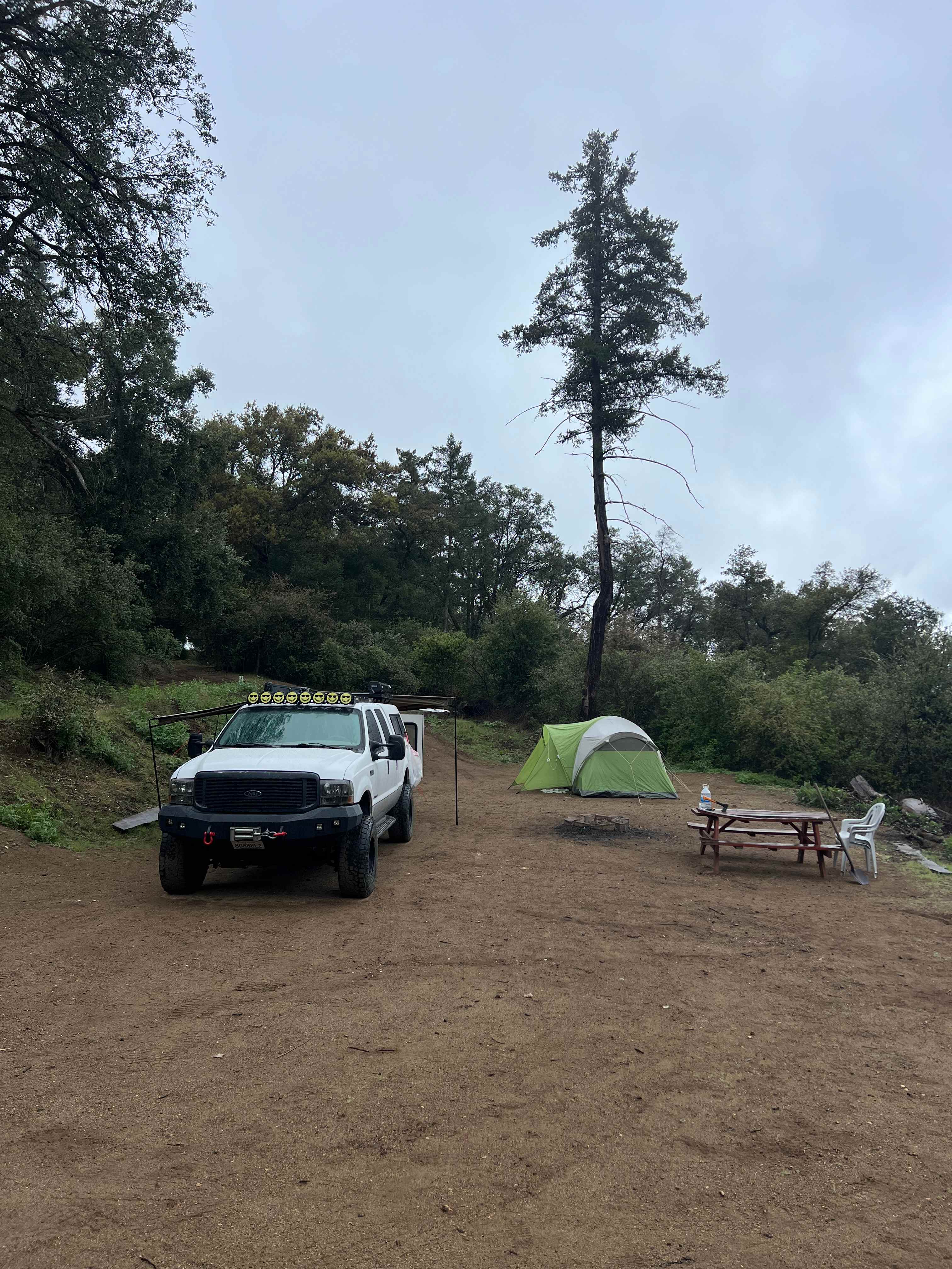 Magical Harrison Serenity Ranch