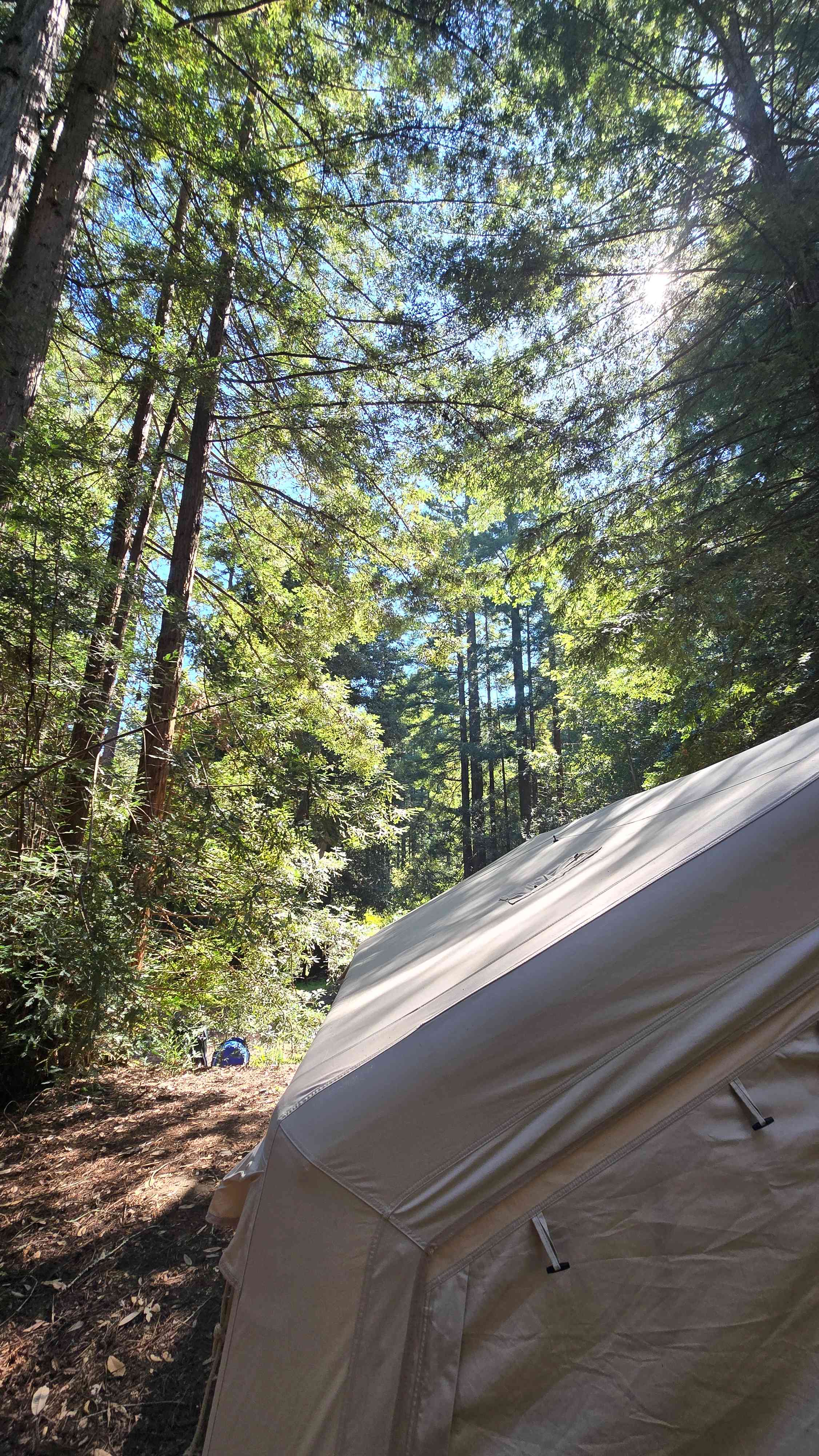 AMERSIAN CAMPERS