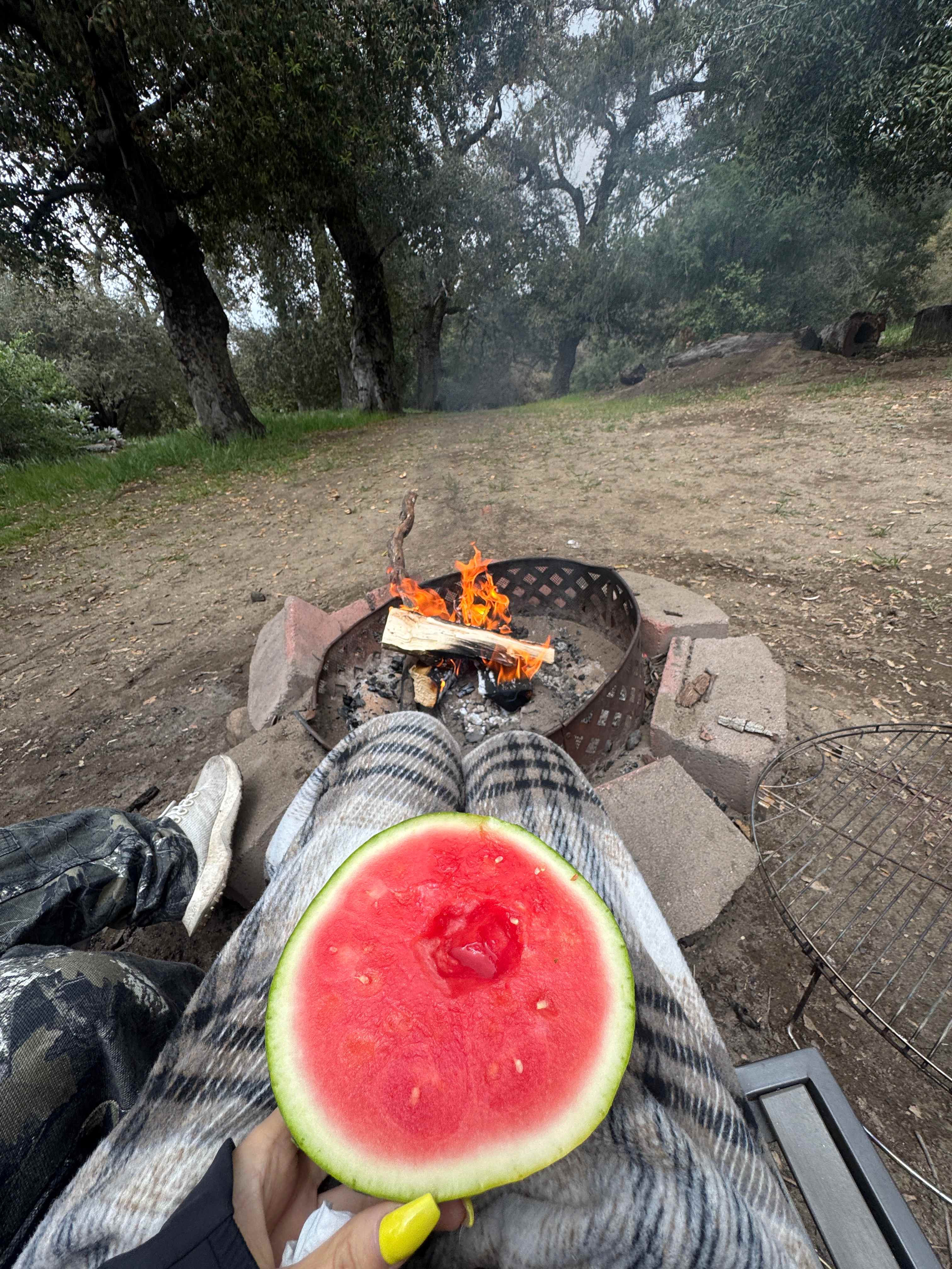Magical Harrison Serenity Ranch
