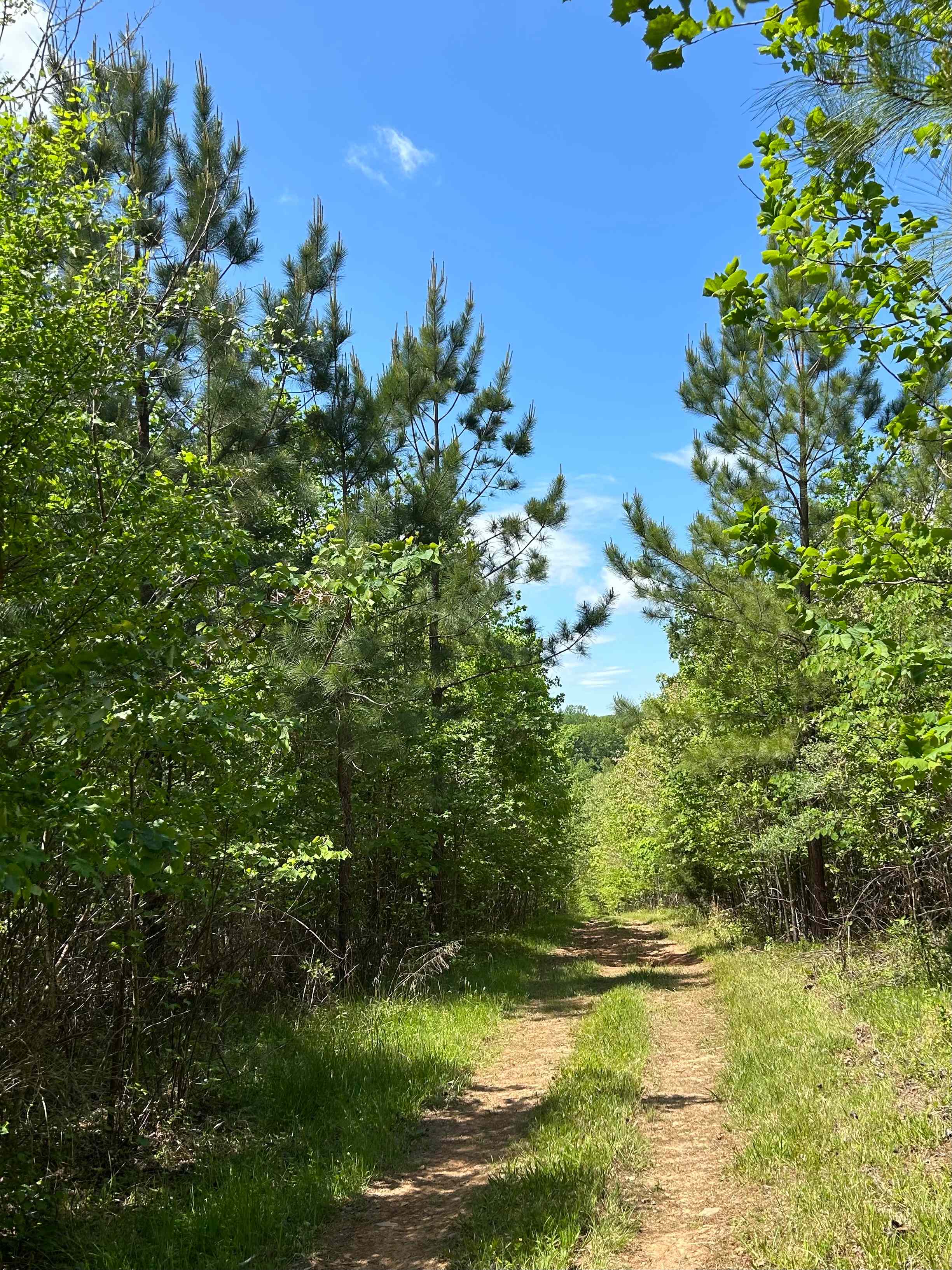 Honah Lee Farms