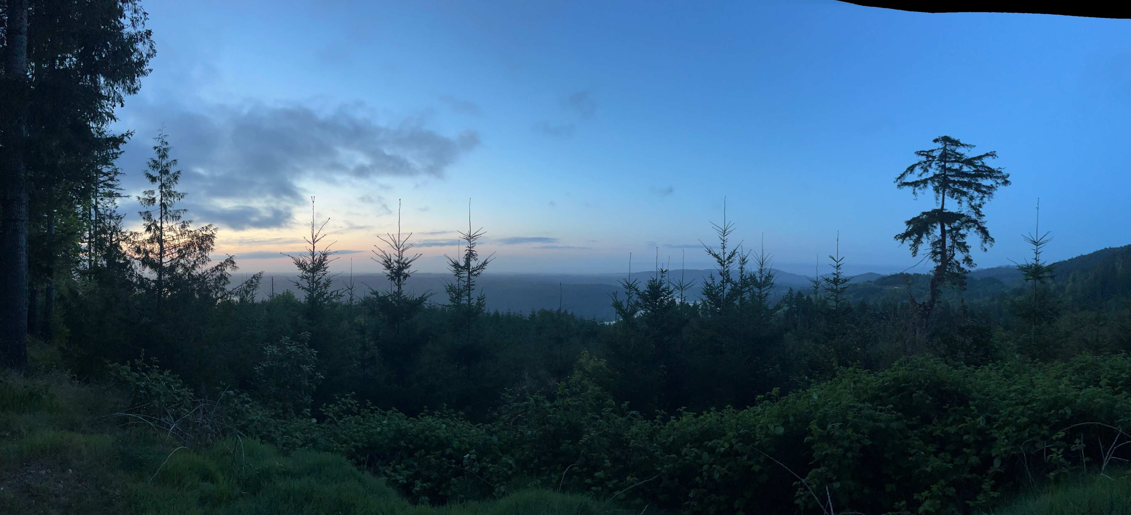 Hairy Eagle Lookout 🦅