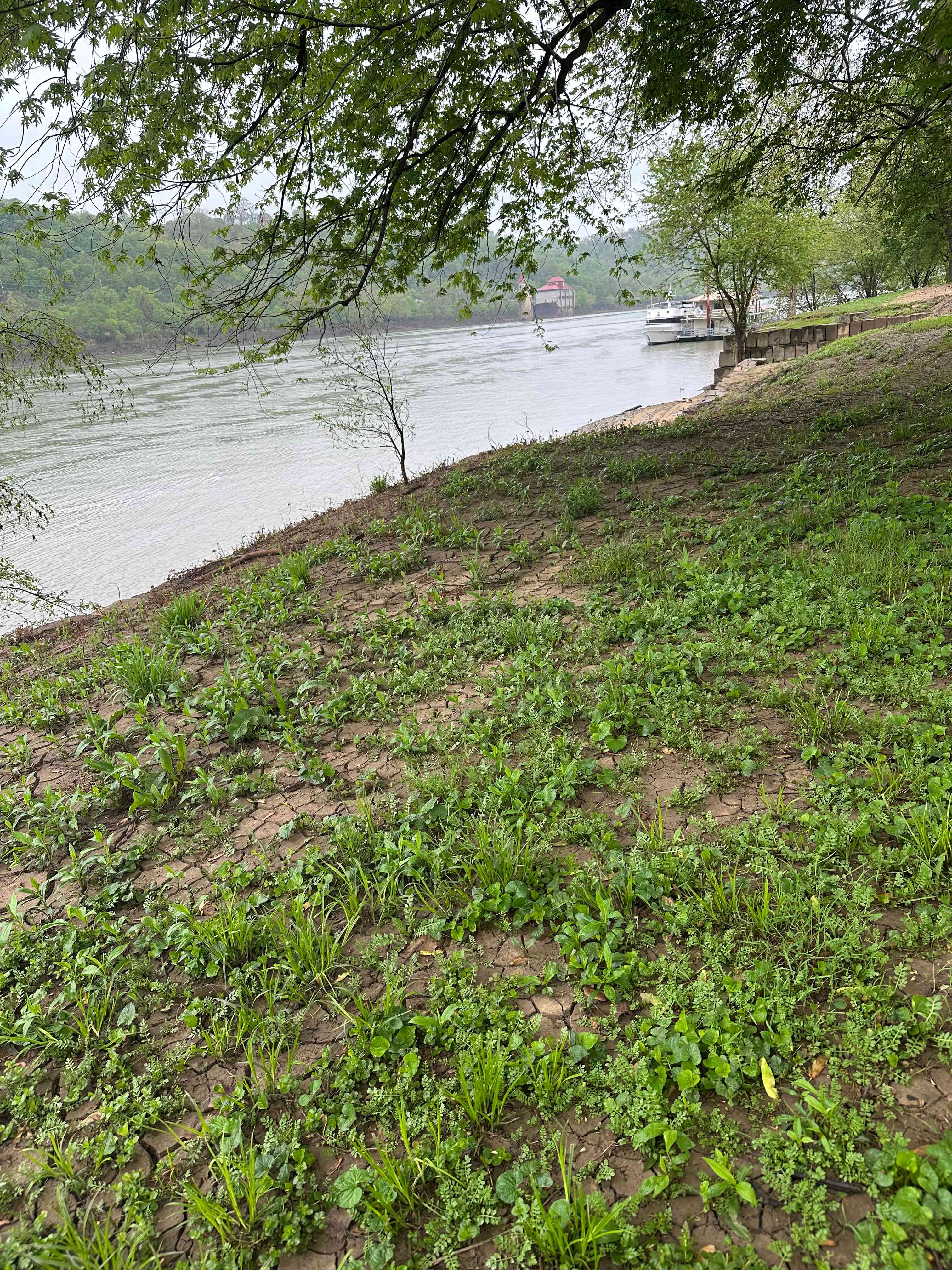 Ohio River experience