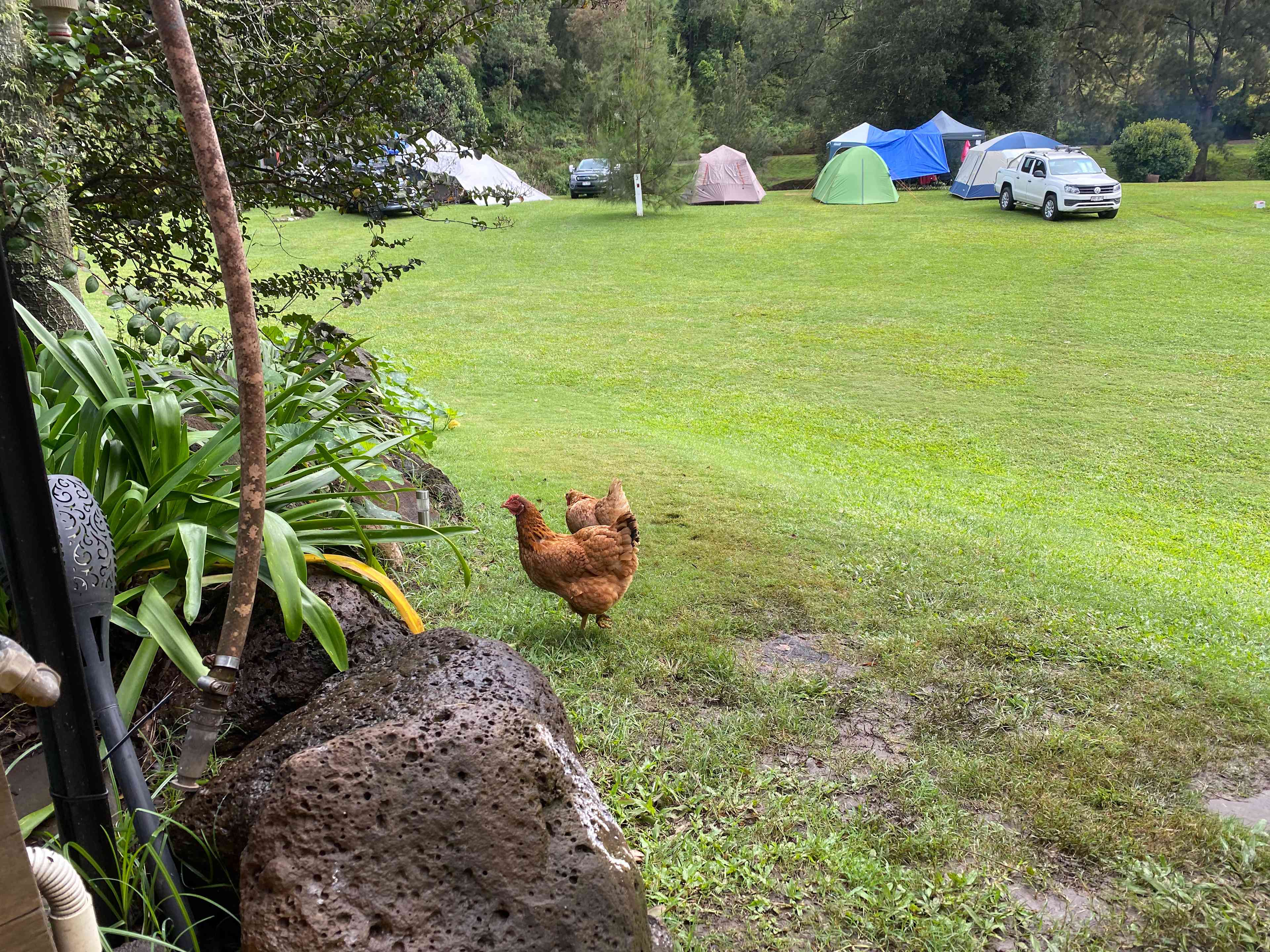 And friendly locals