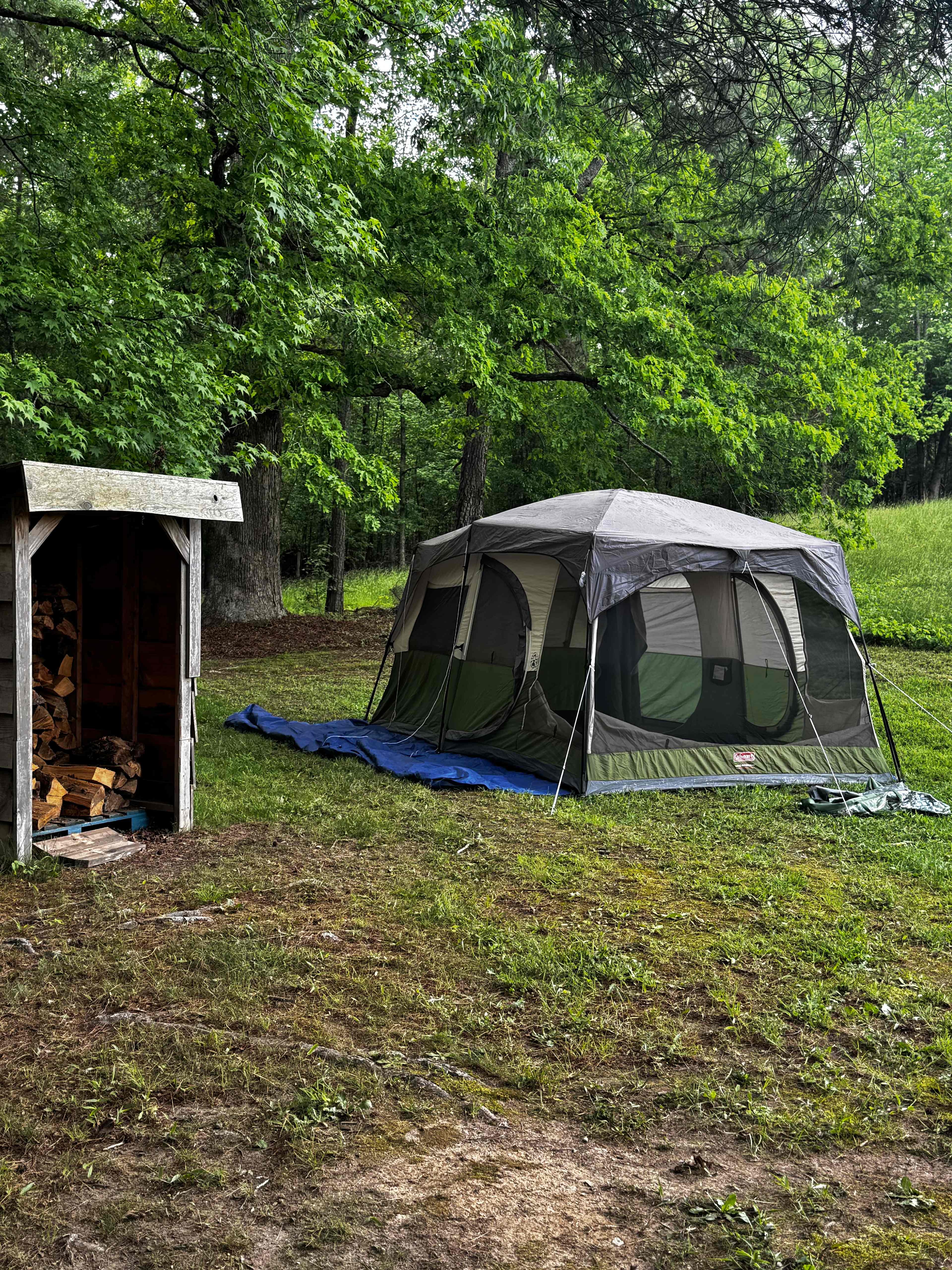 Neal Creek Camping Sites