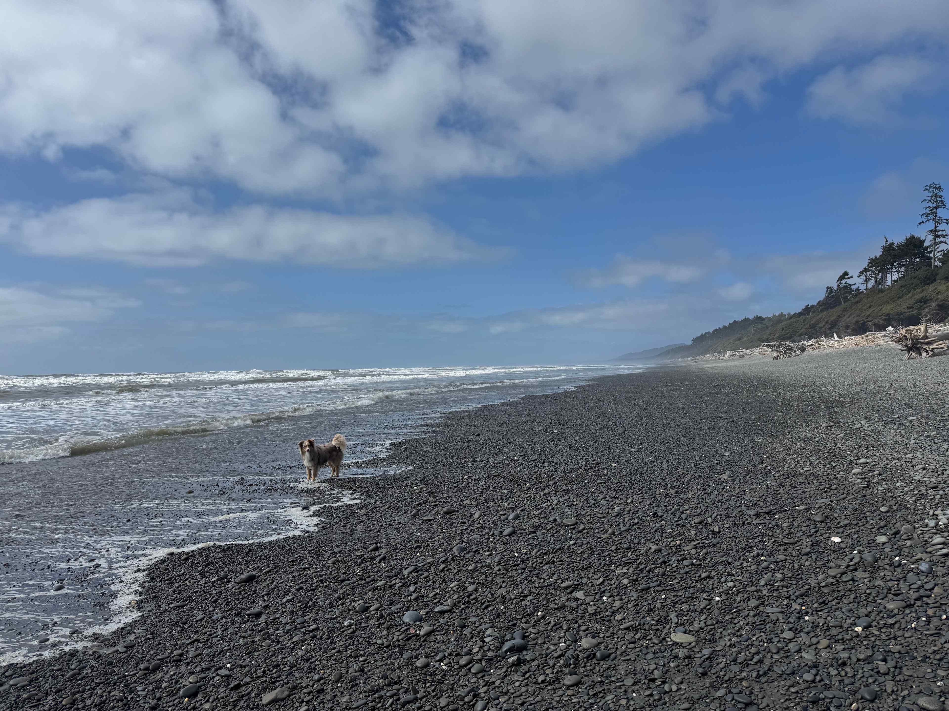 Wild WA Coast Lookout ($75 - $125)
