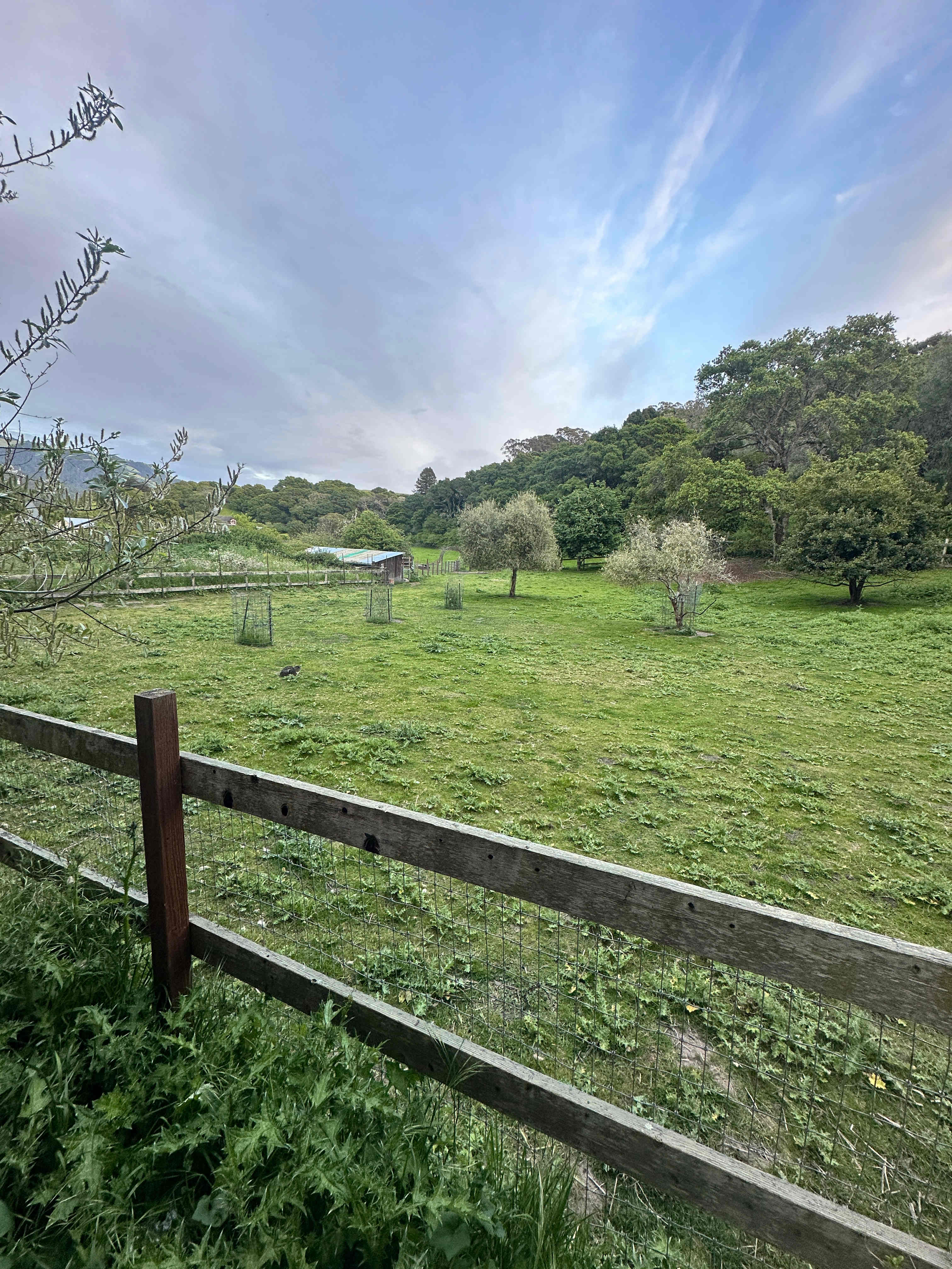 Blackberry Farm