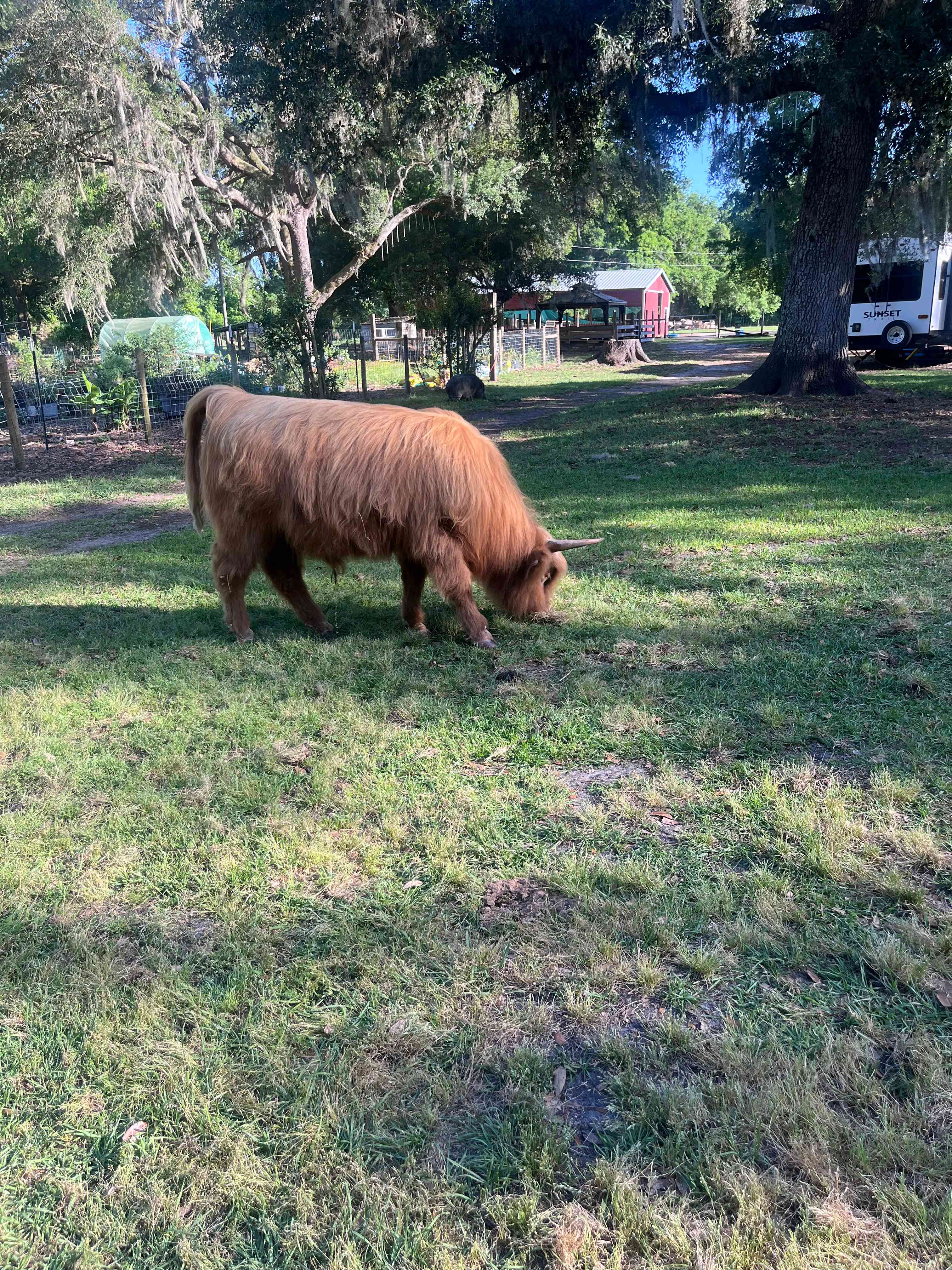 THE Farmstay for Animal Lovers!
