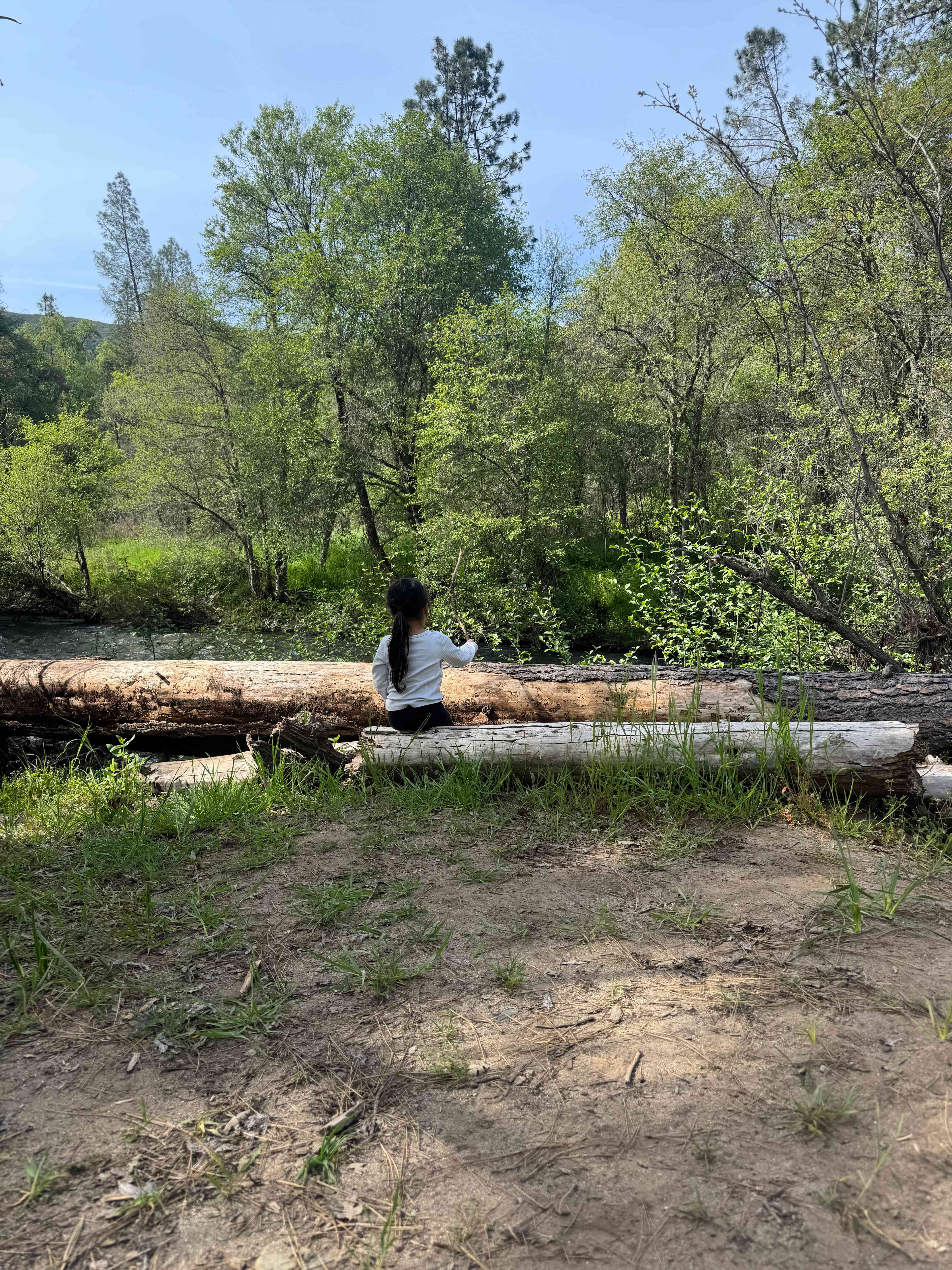 Snapshot from the middle of the campsite toward the river 