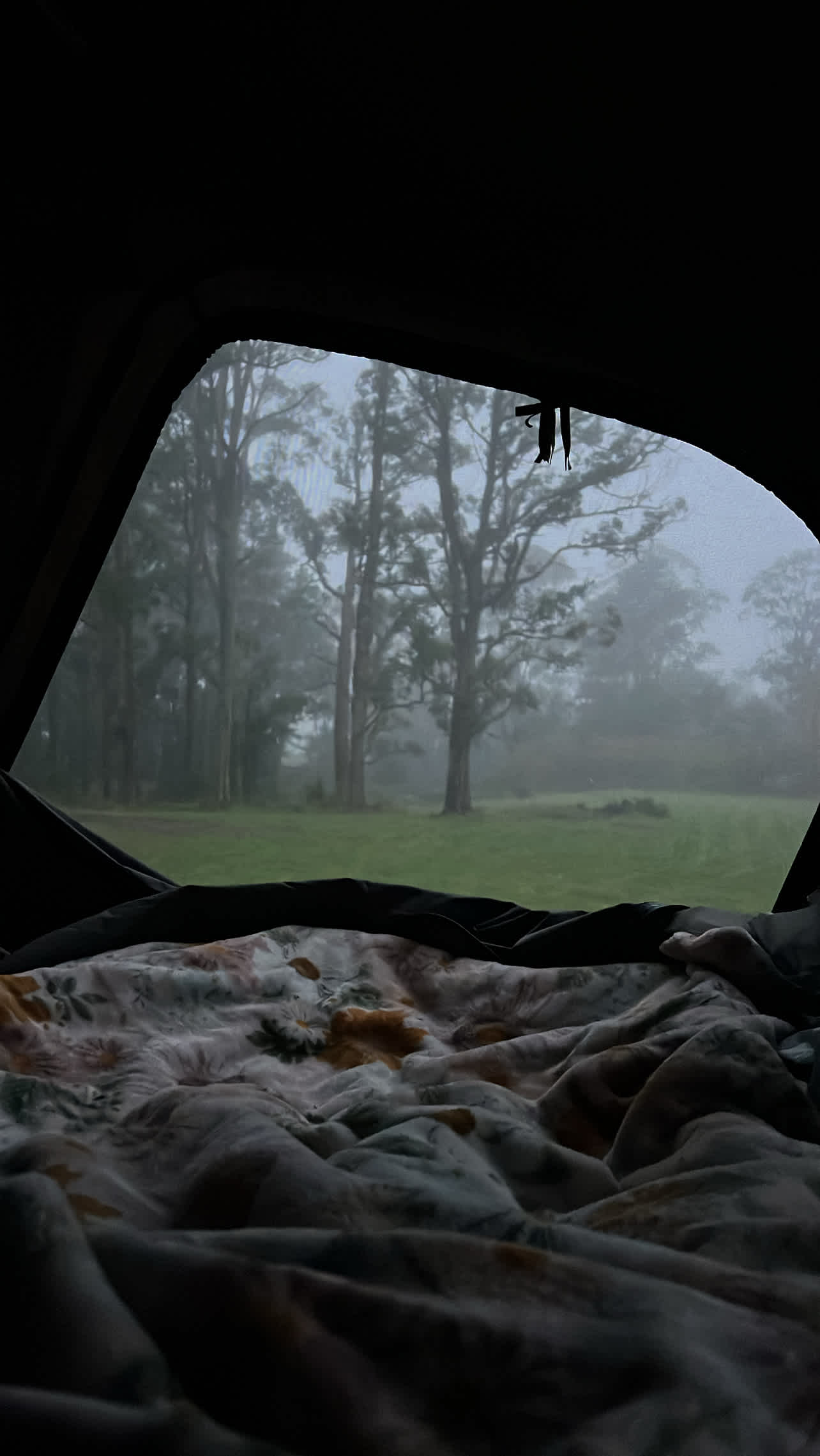 Misty Farm