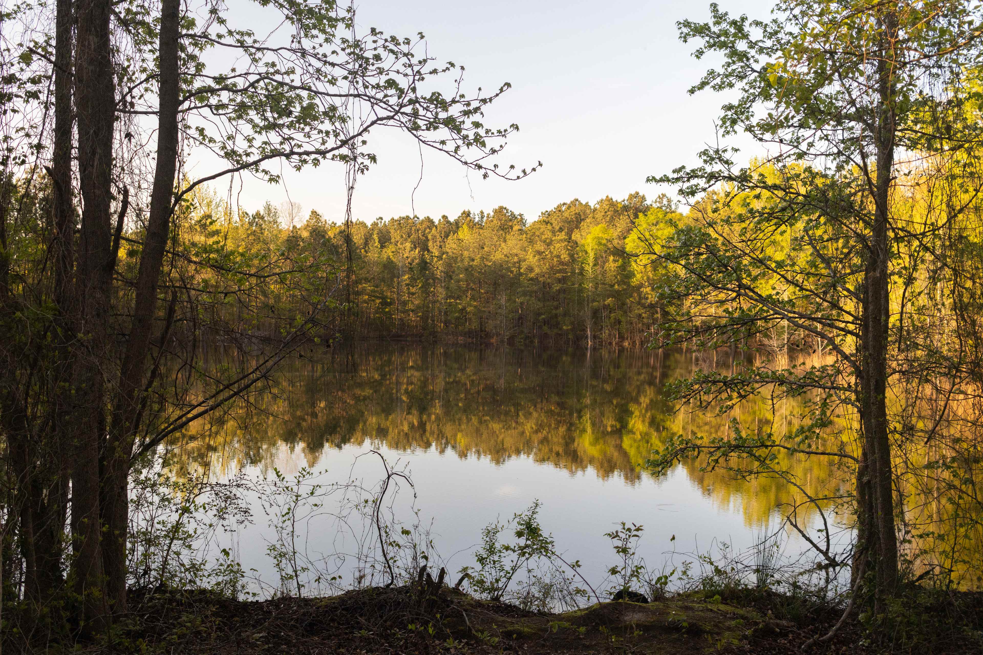 Scott’s Lakeview Camp and Park