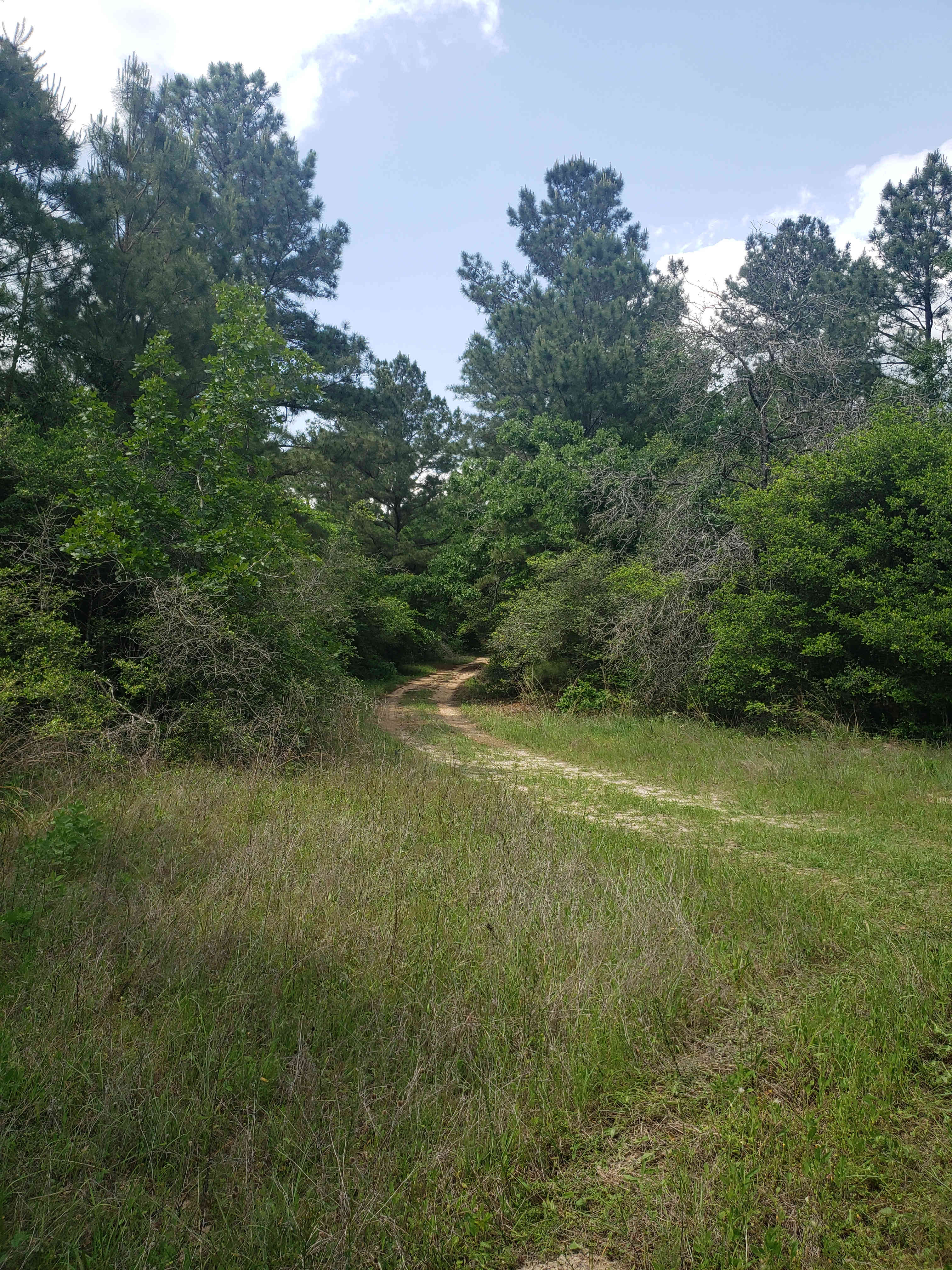 5D RANCH
