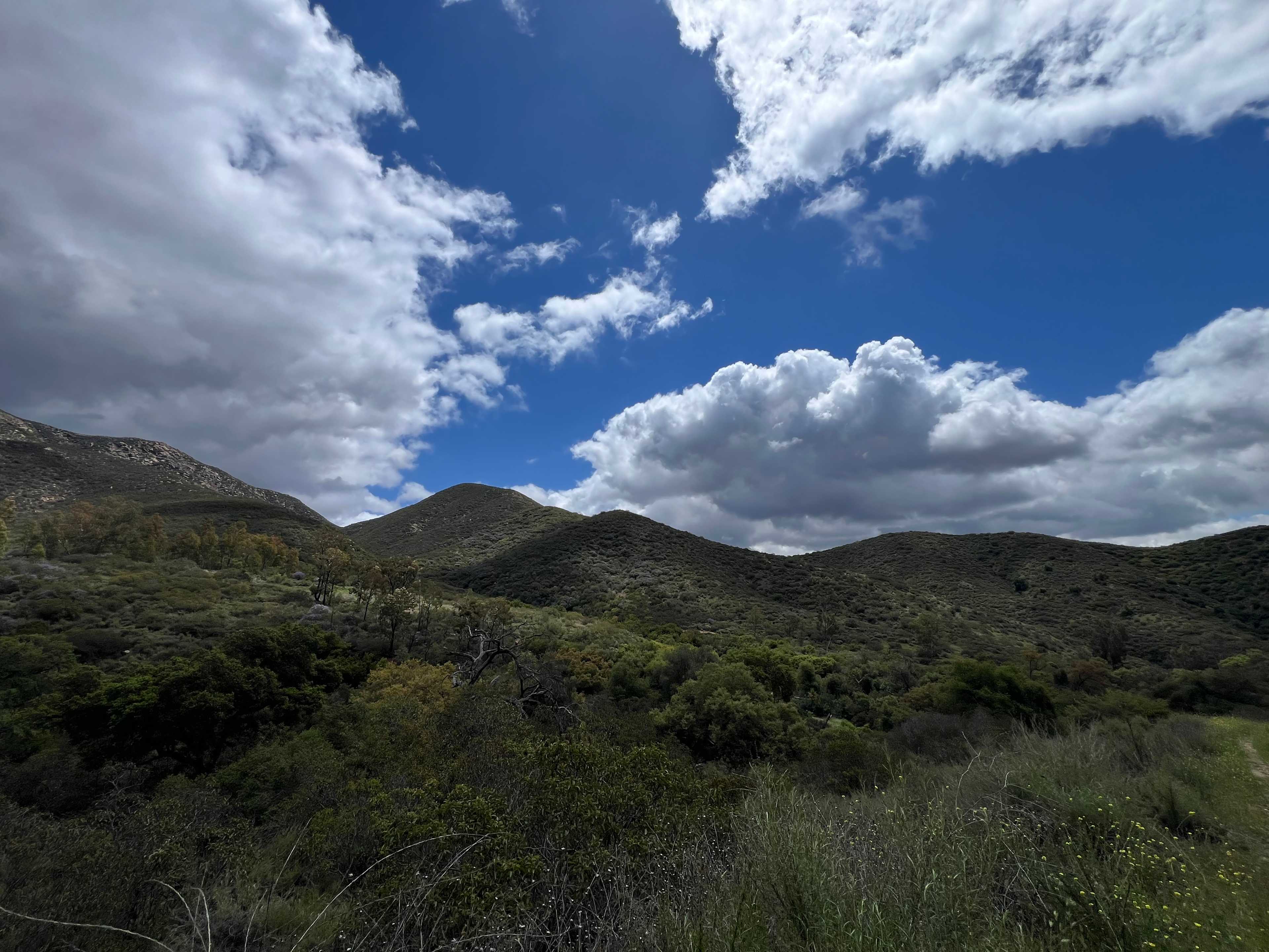 Dutchman Canyon