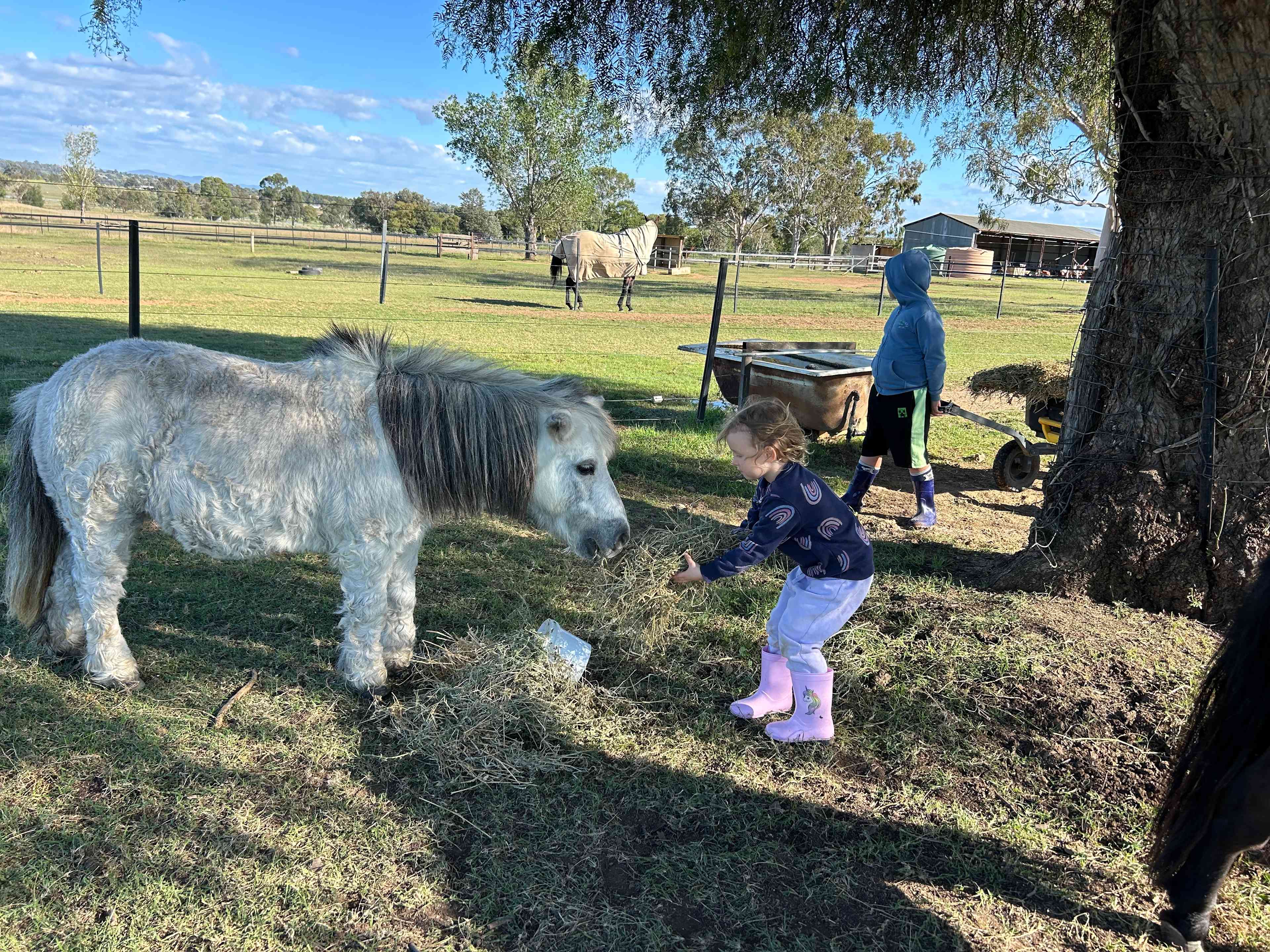 Sheffield B&B Farm stay Tamworth